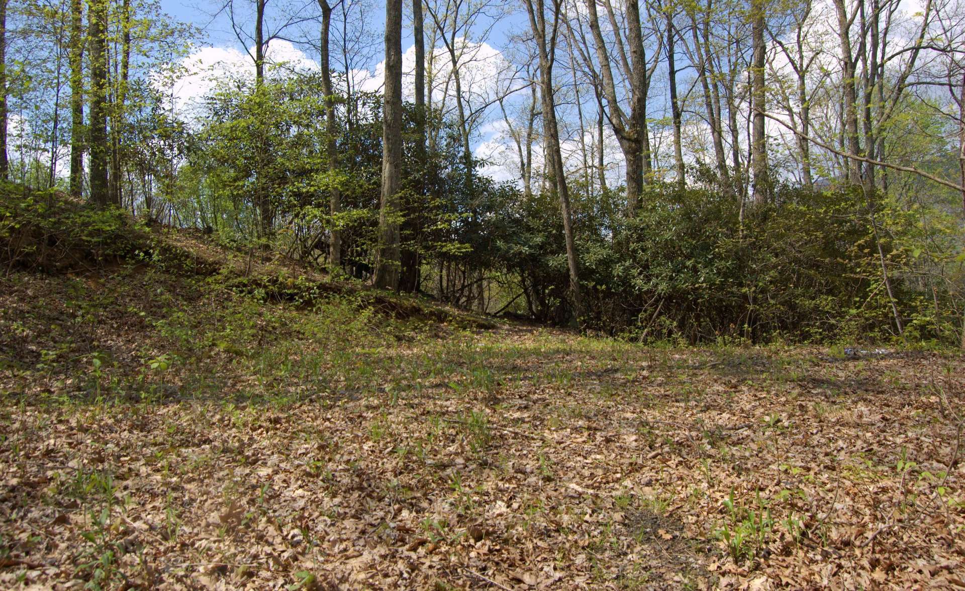 This home site also has the driveway and well in place.  Permitted for a 3-bedroom septic and ready to build on.