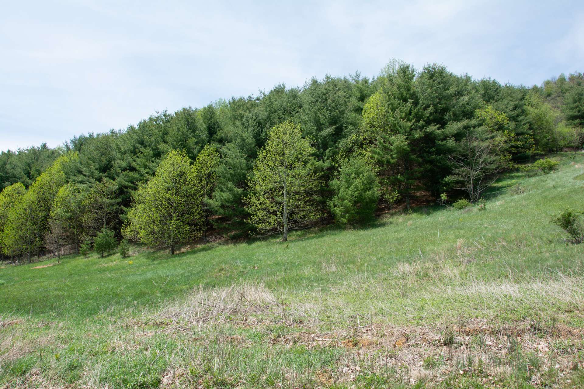 This 0.60 acre mountain home site is located in Mountain View Estates, a well established community just 3 miles to downtown West Jefferson.