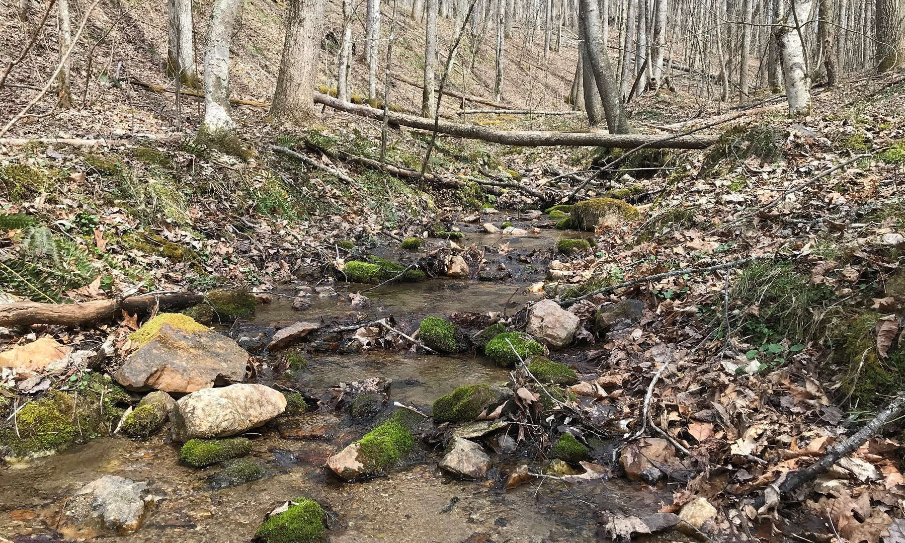 <b> Lots 122, 123, and 124 </b> have been combined to create an estate sized tract of 8.42 acres.  This tract is easily accessible in all seasons and features a year round mountain stream.