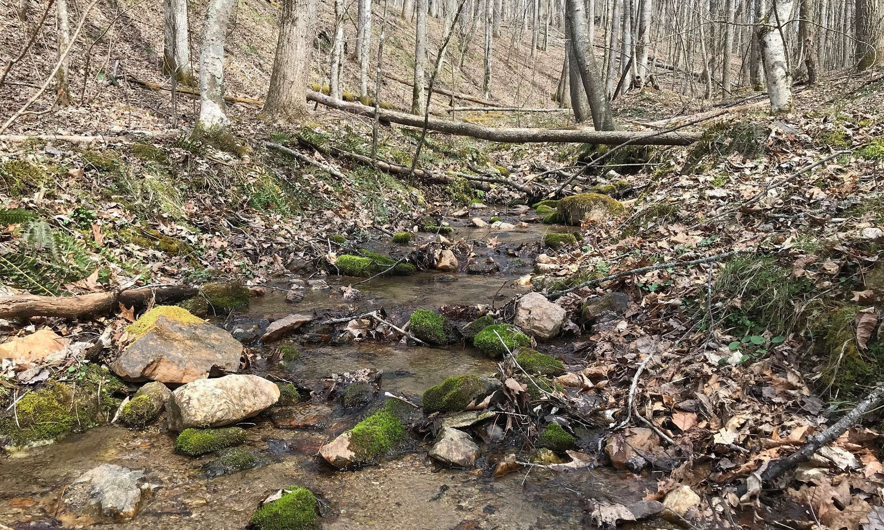 NC Building Sites Available Hidden Mountain
