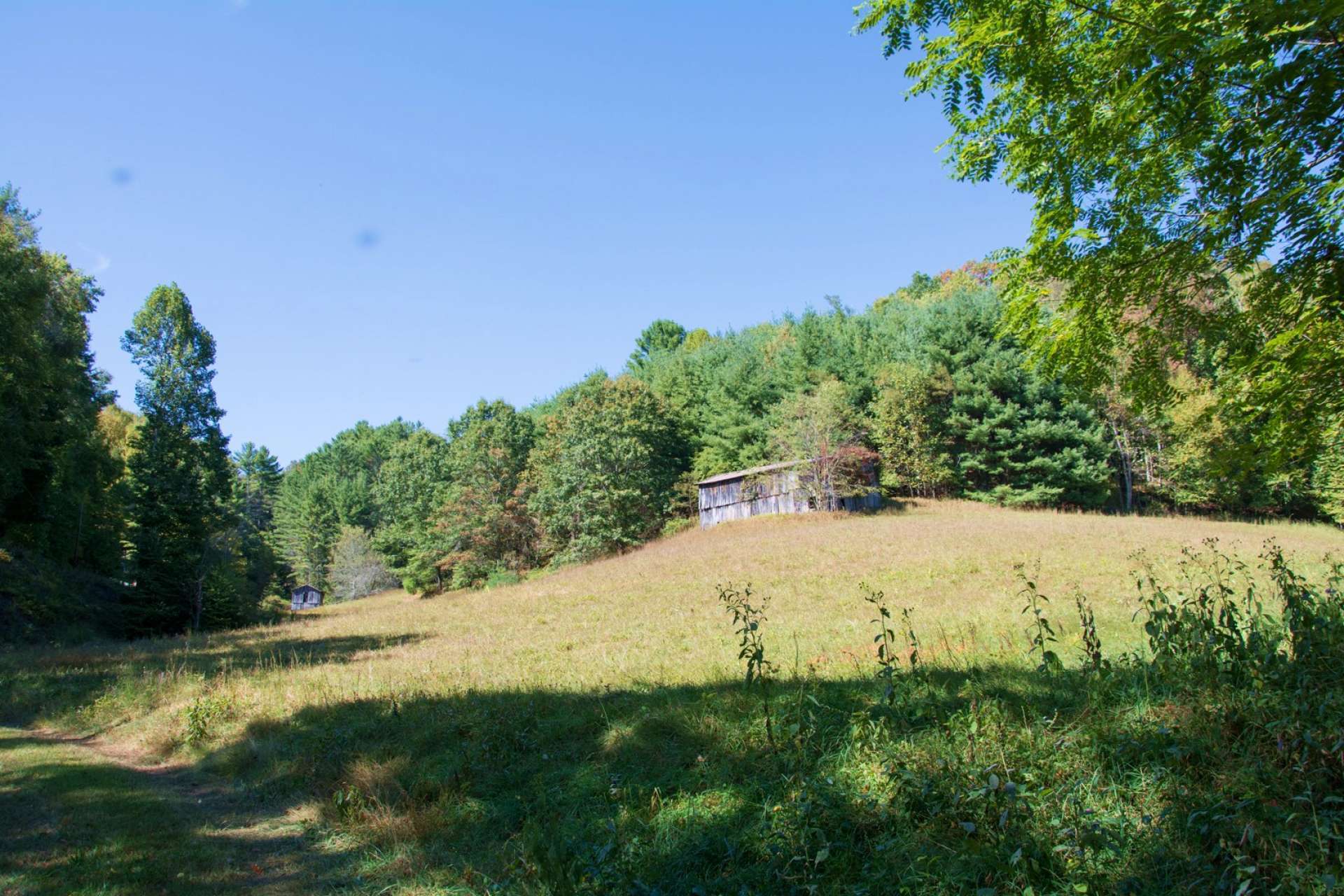 Upon entering, a large pasture area with an old barn will be your first sight.