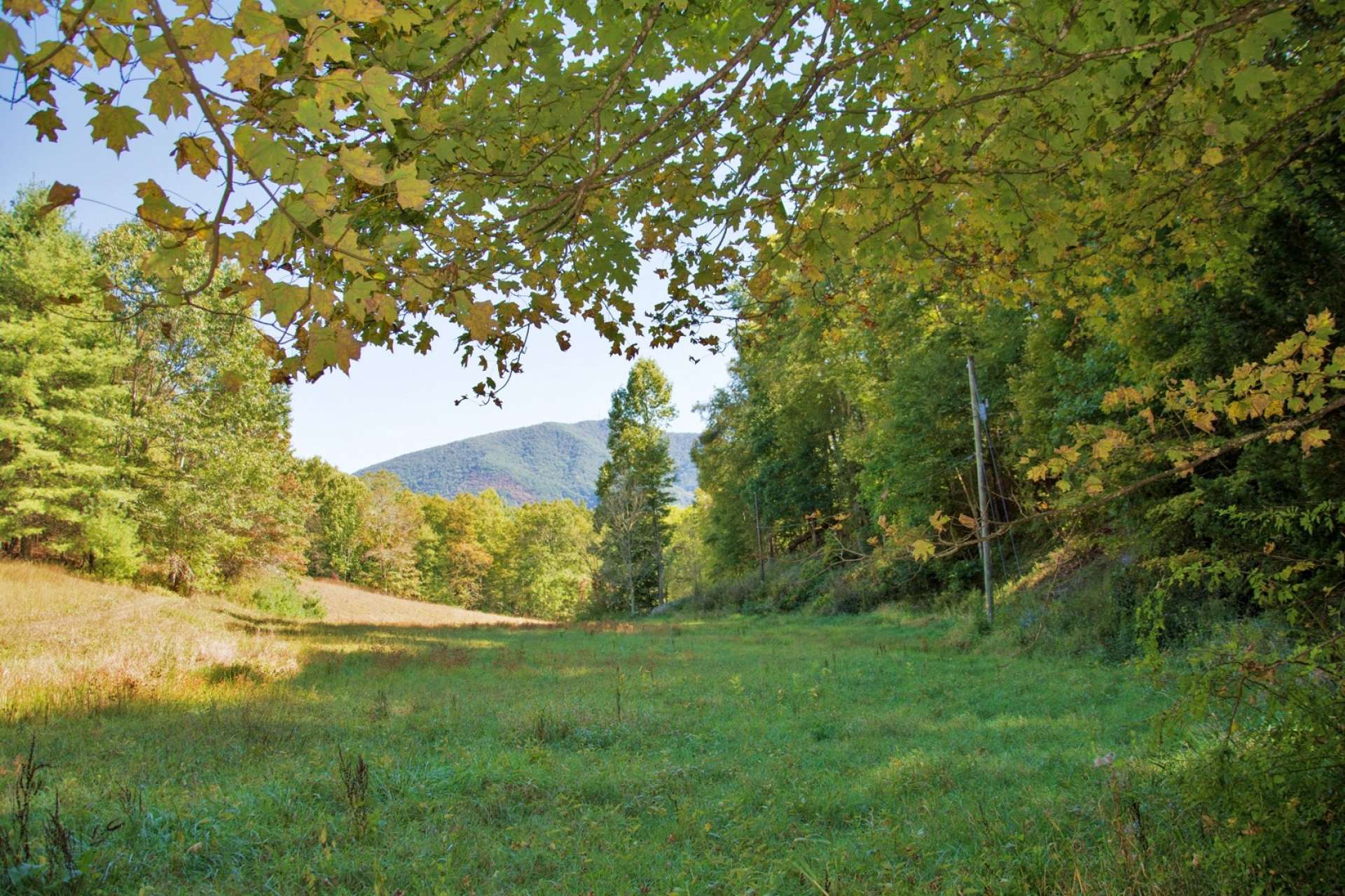 Gorgeous open pastures are perfect for horses, cattle or other livestock, crops, gardens, or a vineyard.