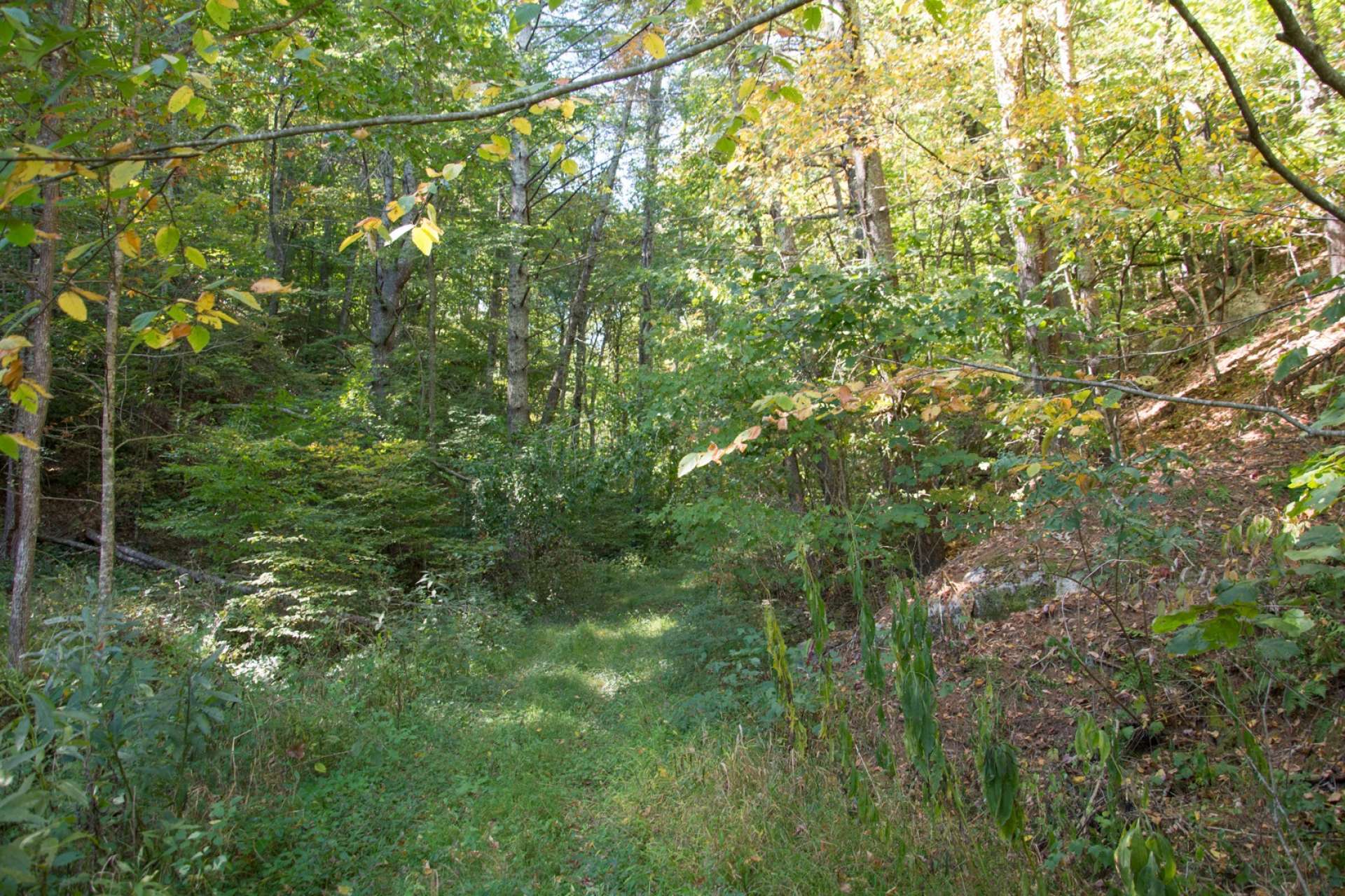 Then take to the woods over the wide trail leading to the top, on foot, ATV's or horses, to enjoy and explore the rest of the property, which...