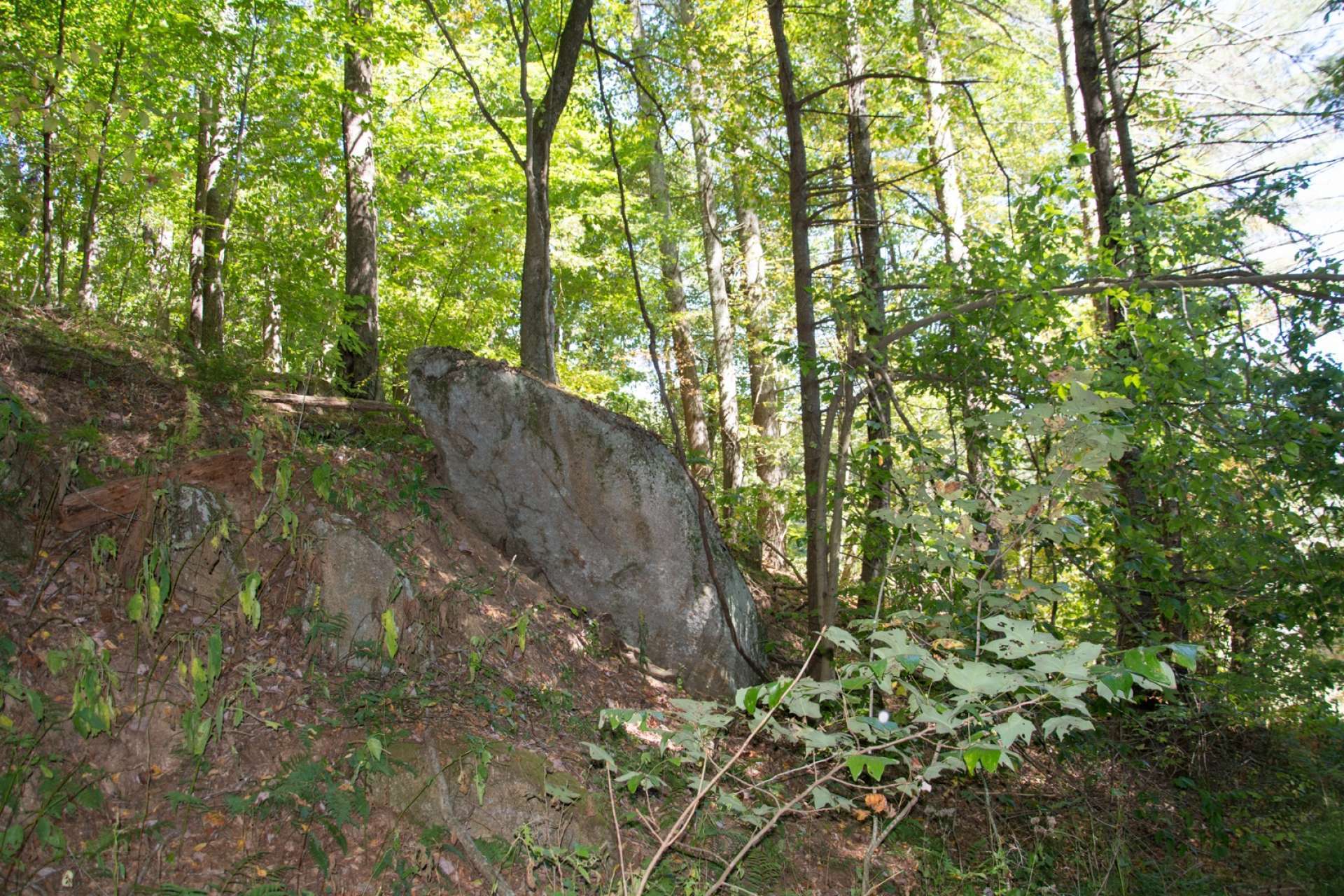 ...Includes unique rock formations, majestic hardwoods, abundant wildlife, native flora and fauna, and...