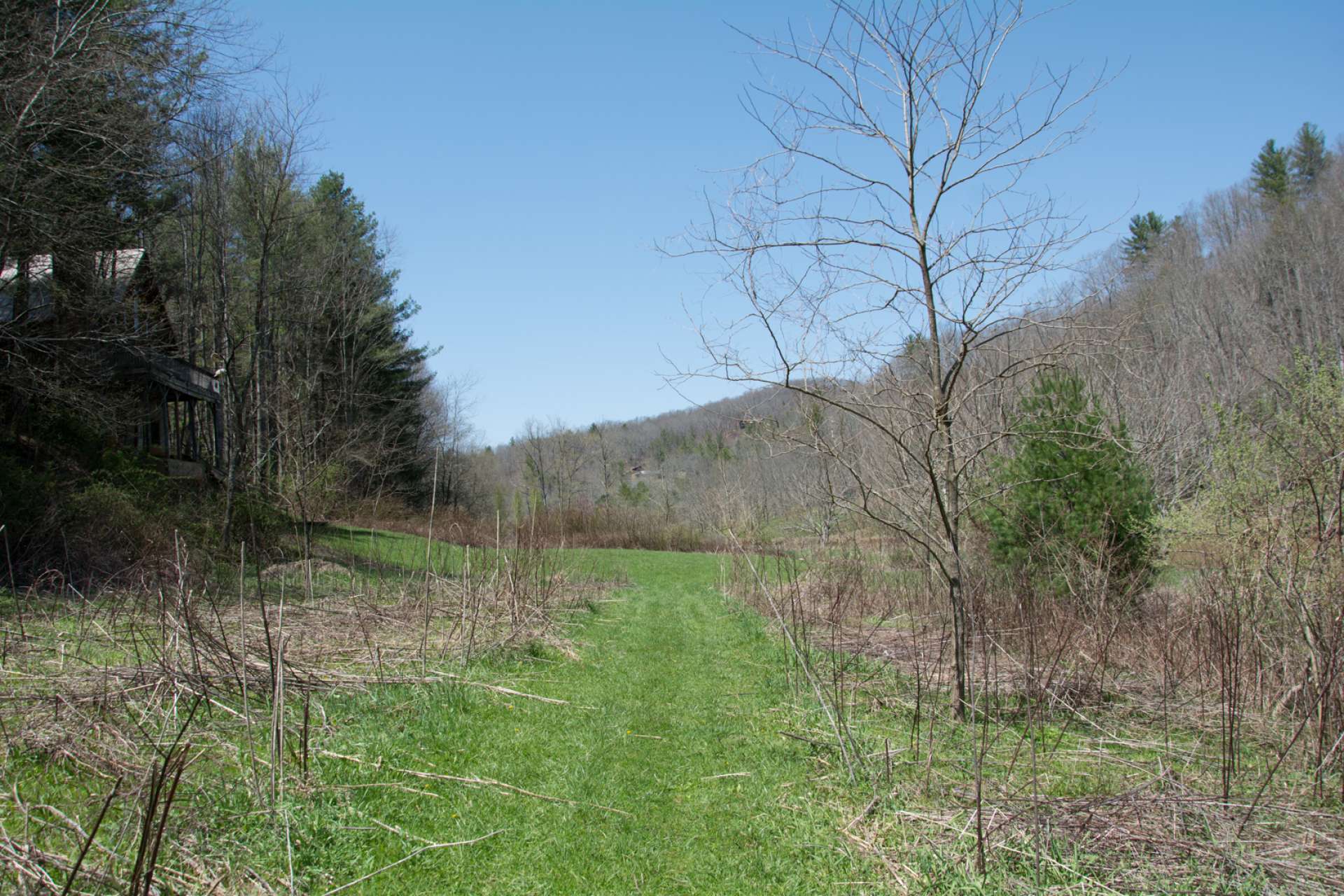 Plenty of open space by the river for outdoor games and easy access to the river.