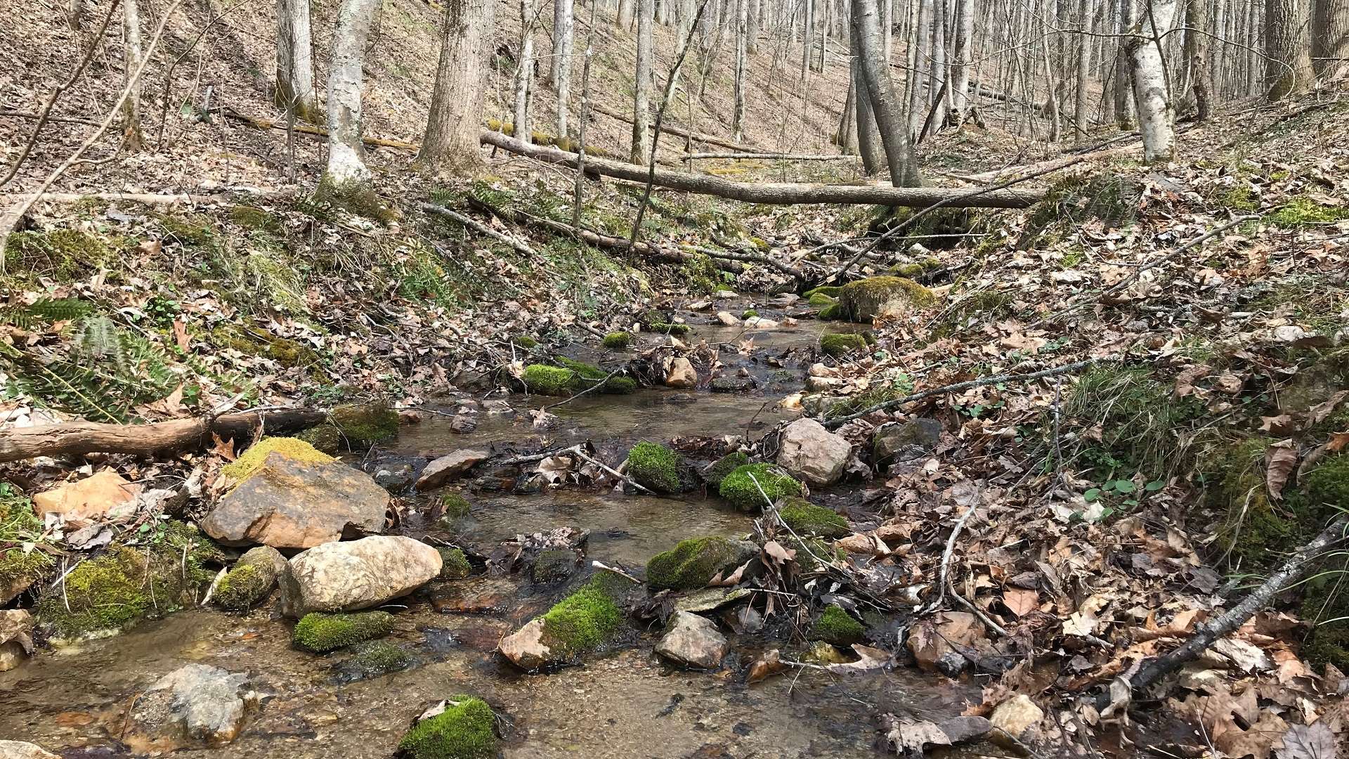 This site also features a natural mountain spring.