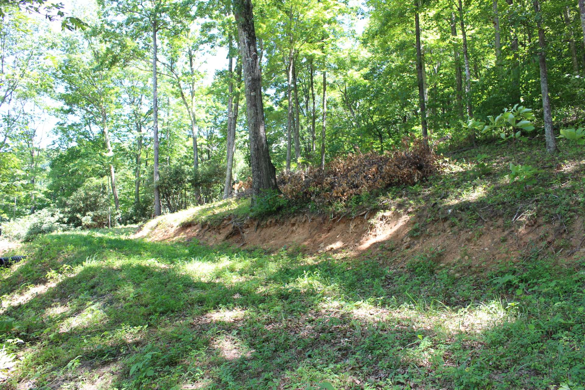 This home site is ready to build on with a driveway and well in place.