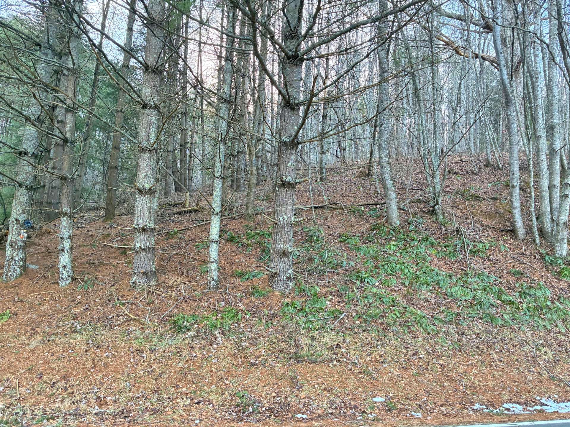 Plenty of room to roam