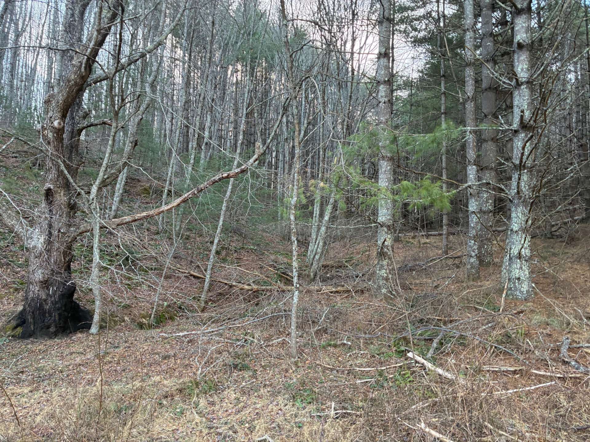 The location is convenient to many NC High Country destinations.