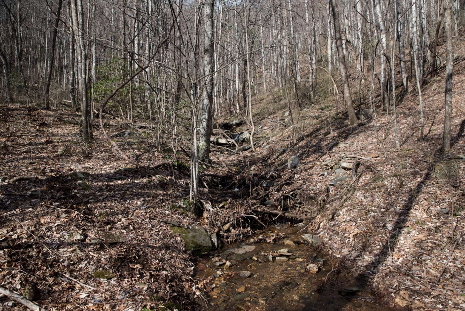 Complete with a small mountain stream, this property is perfect for those looking to develop,  hunting tract, or simply looking for a private mountain land tract to build their mountain home or cabin.
