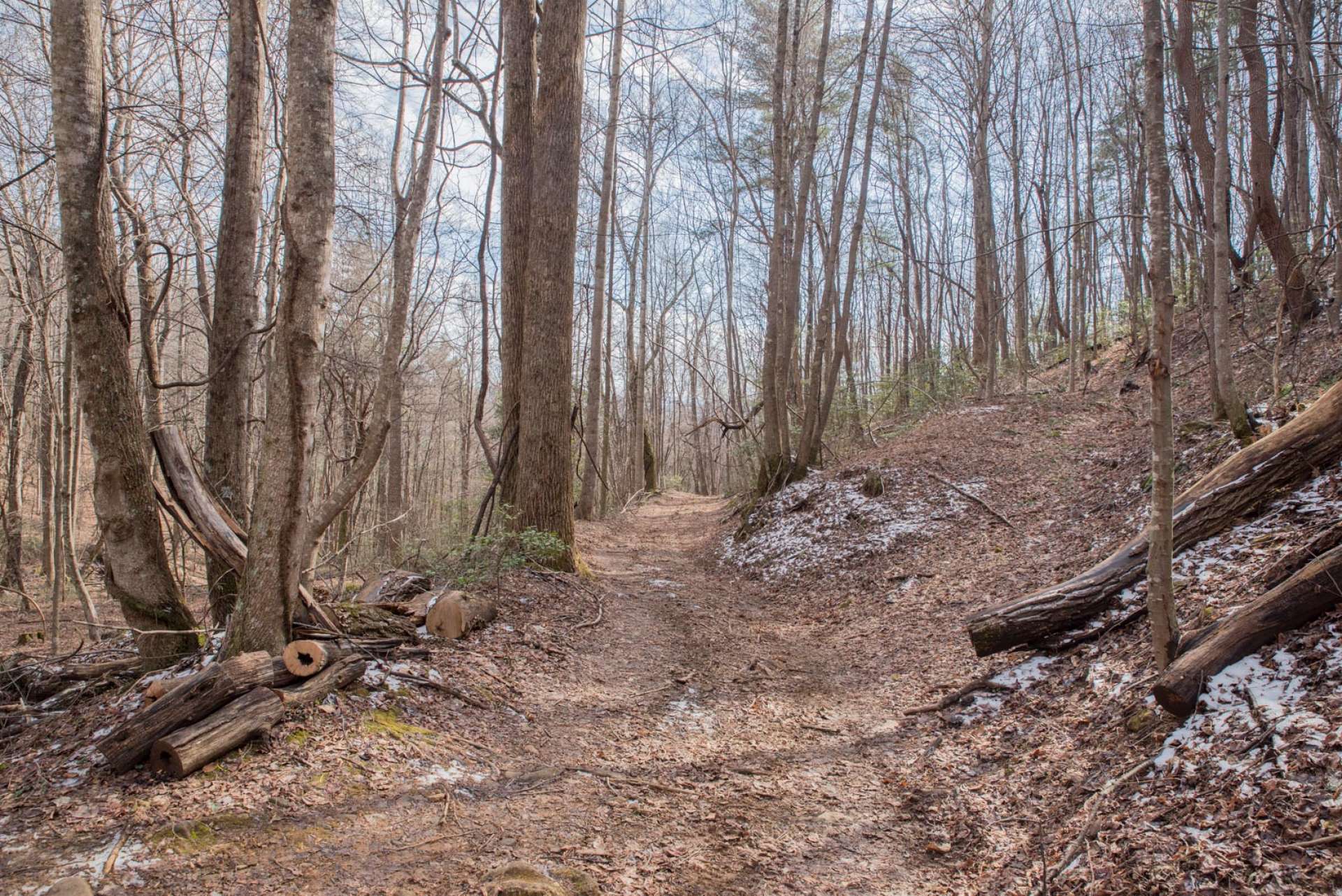 Trails meander through the tract providing for a great afternoon of hiking, ATV riding, or horseback riding.