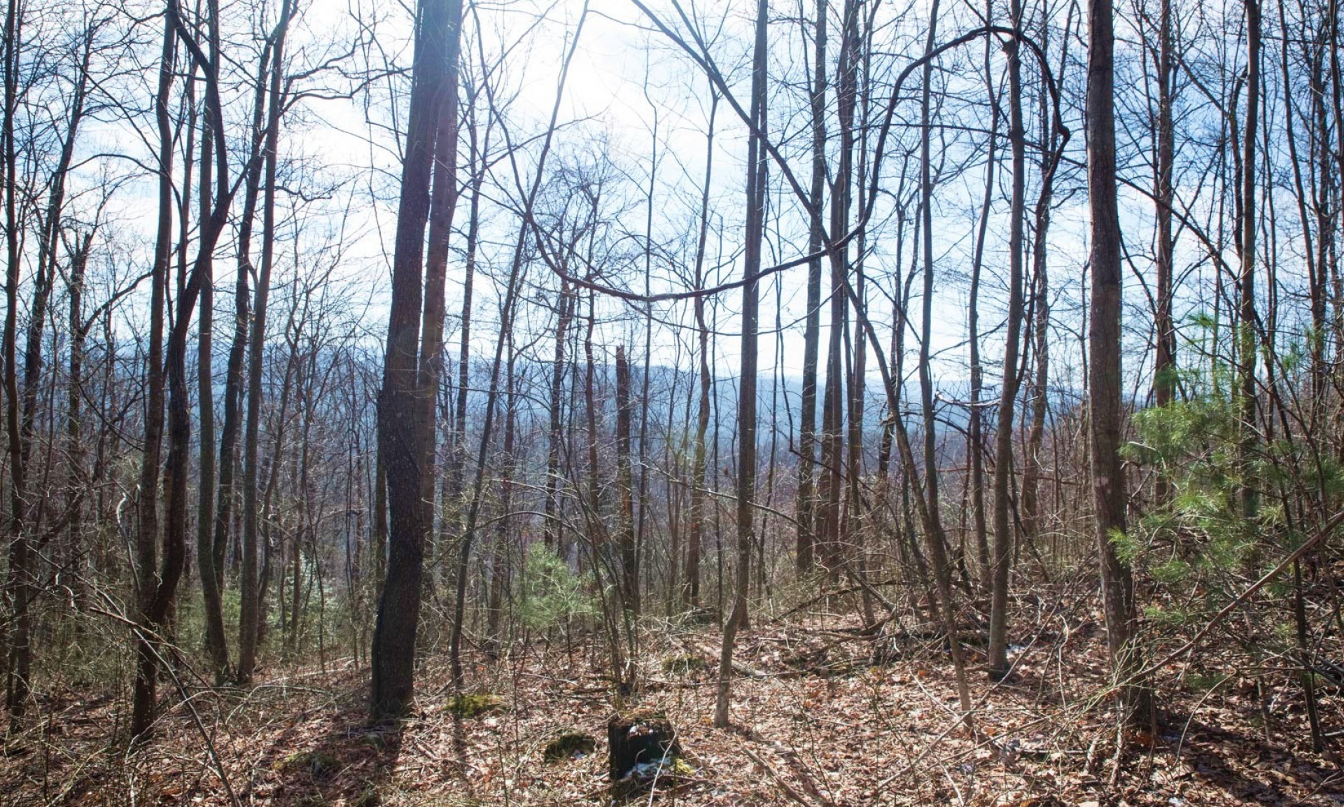 If you are looking for a private wooded mountain tract, then come take a look at this 27 acre tract located off of Patton Ridge Road in the Purlear area of Wilkes County in the beautiful  mountains of North Carolina.