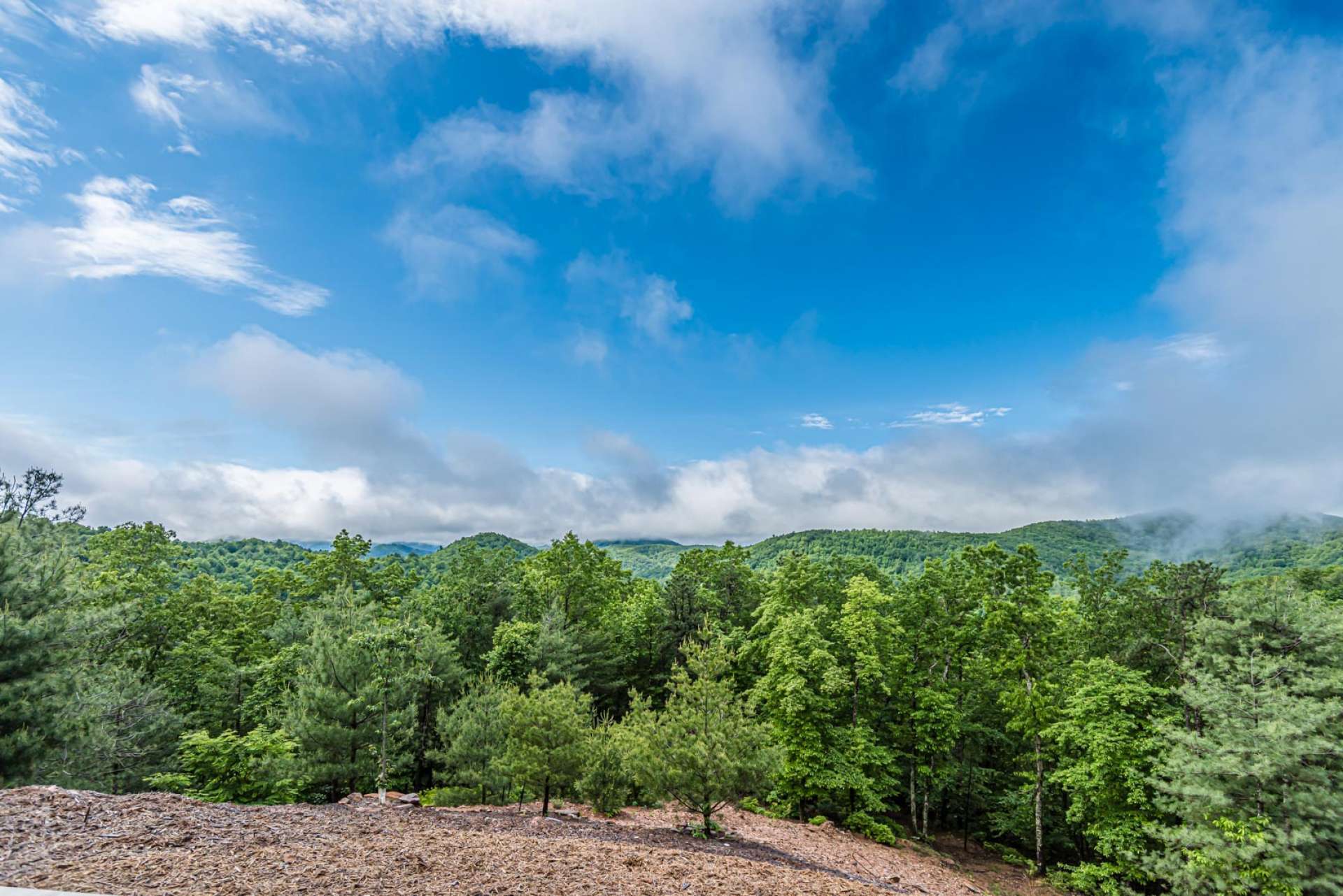 Relax on the covered porch and enjoy the peace and tranquility that comes with this setting.