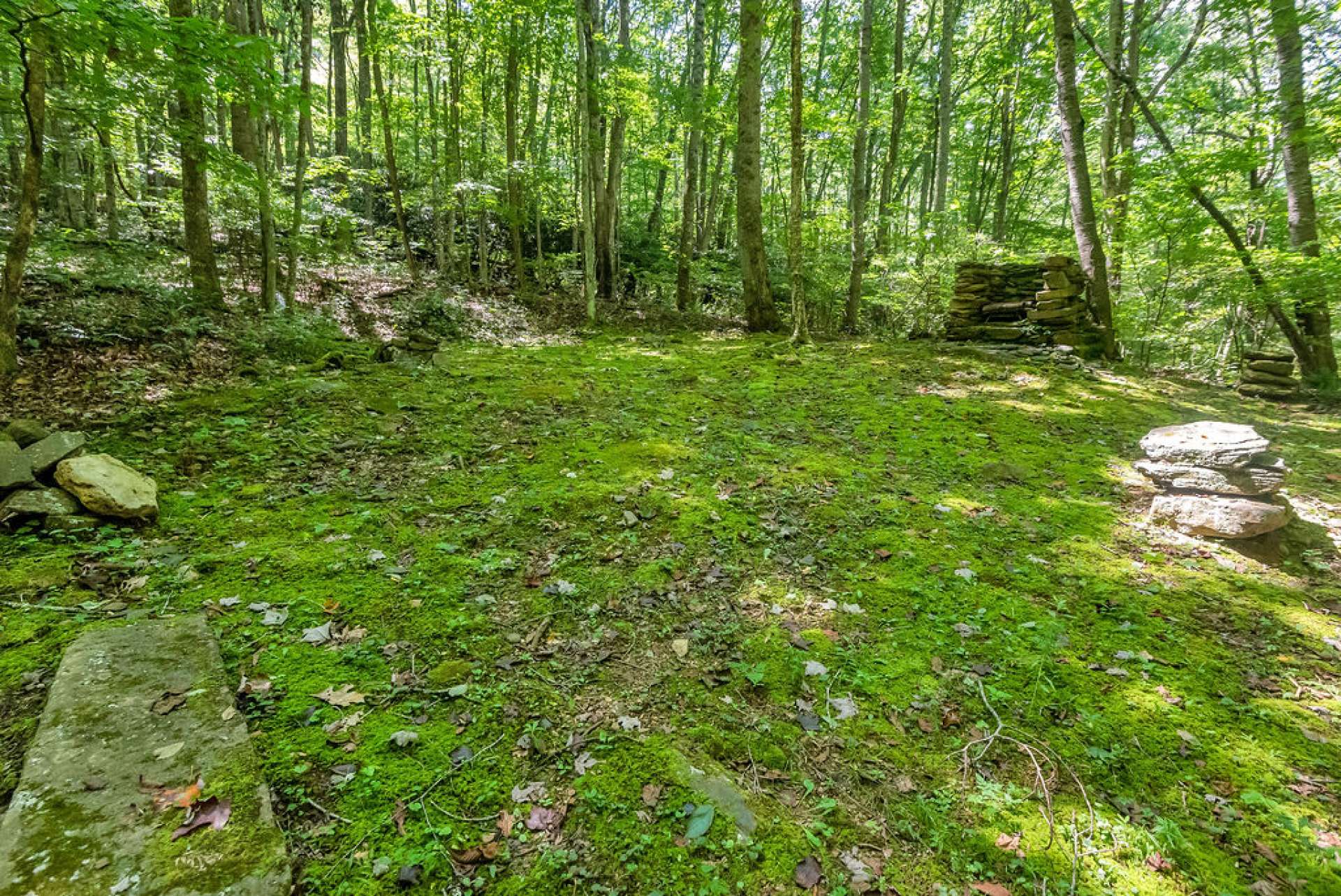 Old home place on the property.