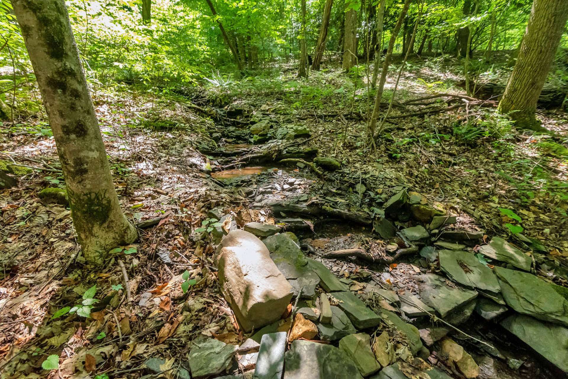 This property is surrounded by 3 creeks and has small streams throughout.