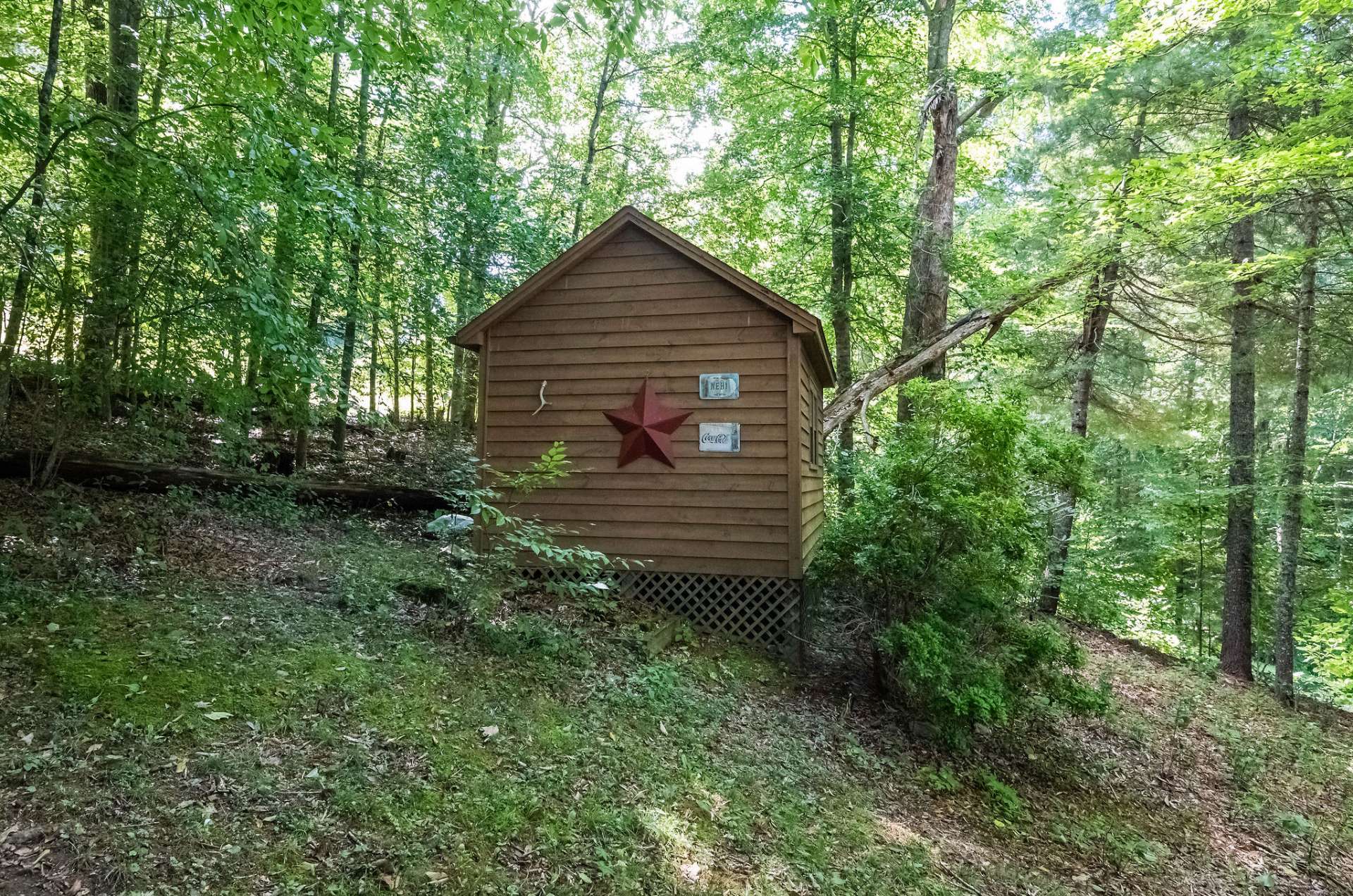 Storage shed located in the back yard.