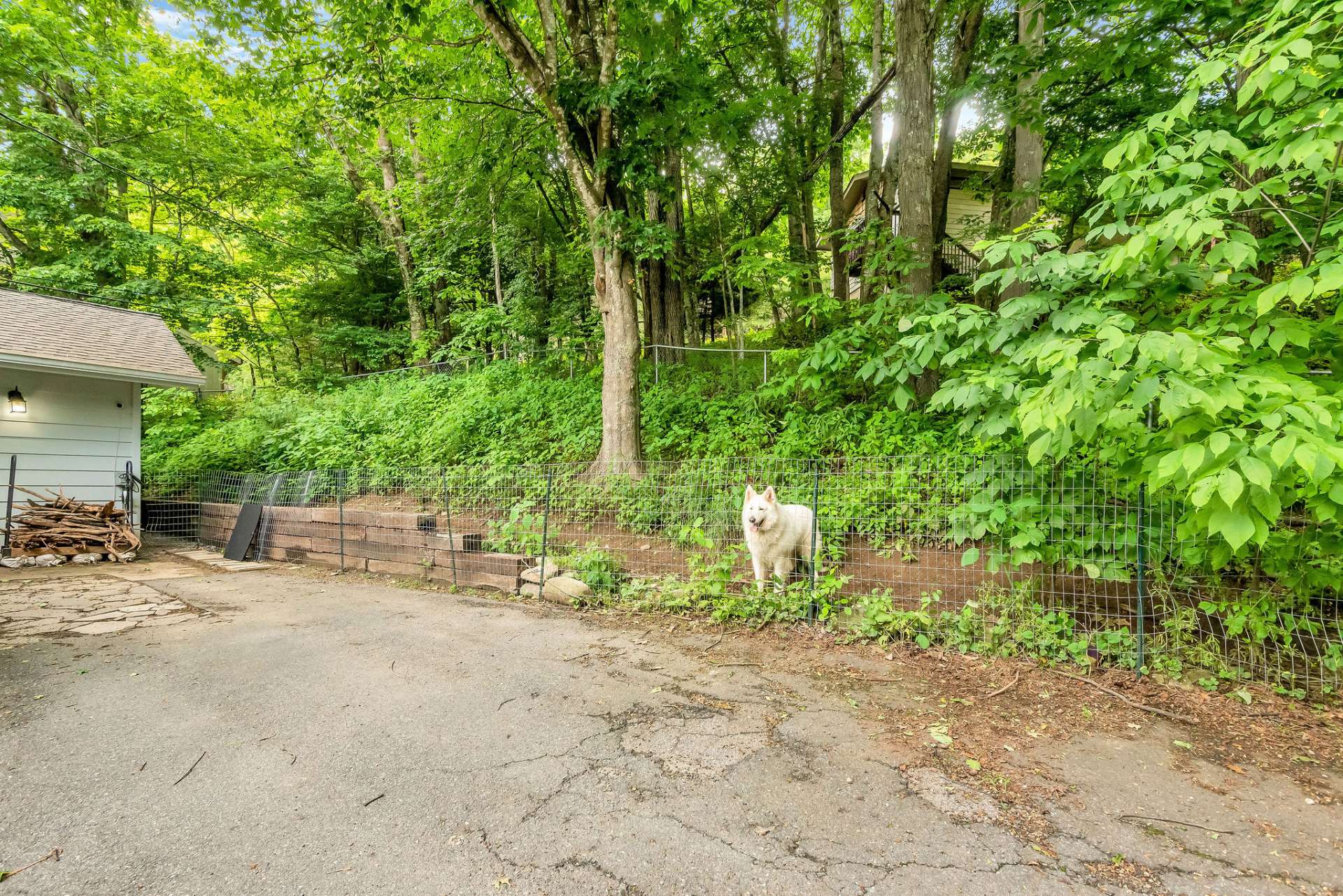 Fenced area for your pets.