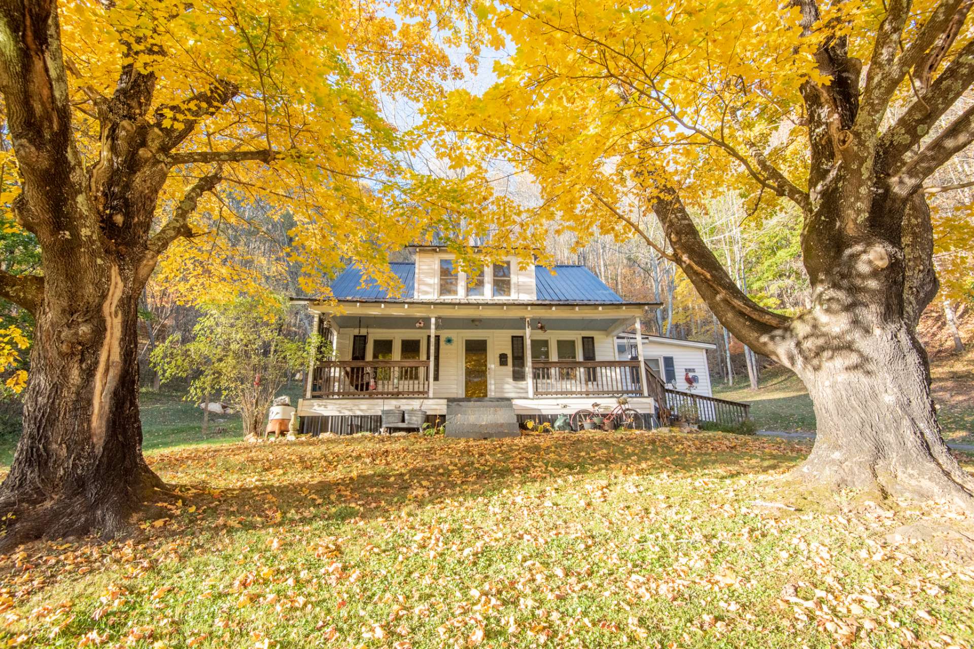 Beautiful mature trees seem to frame your NC Mountain home.