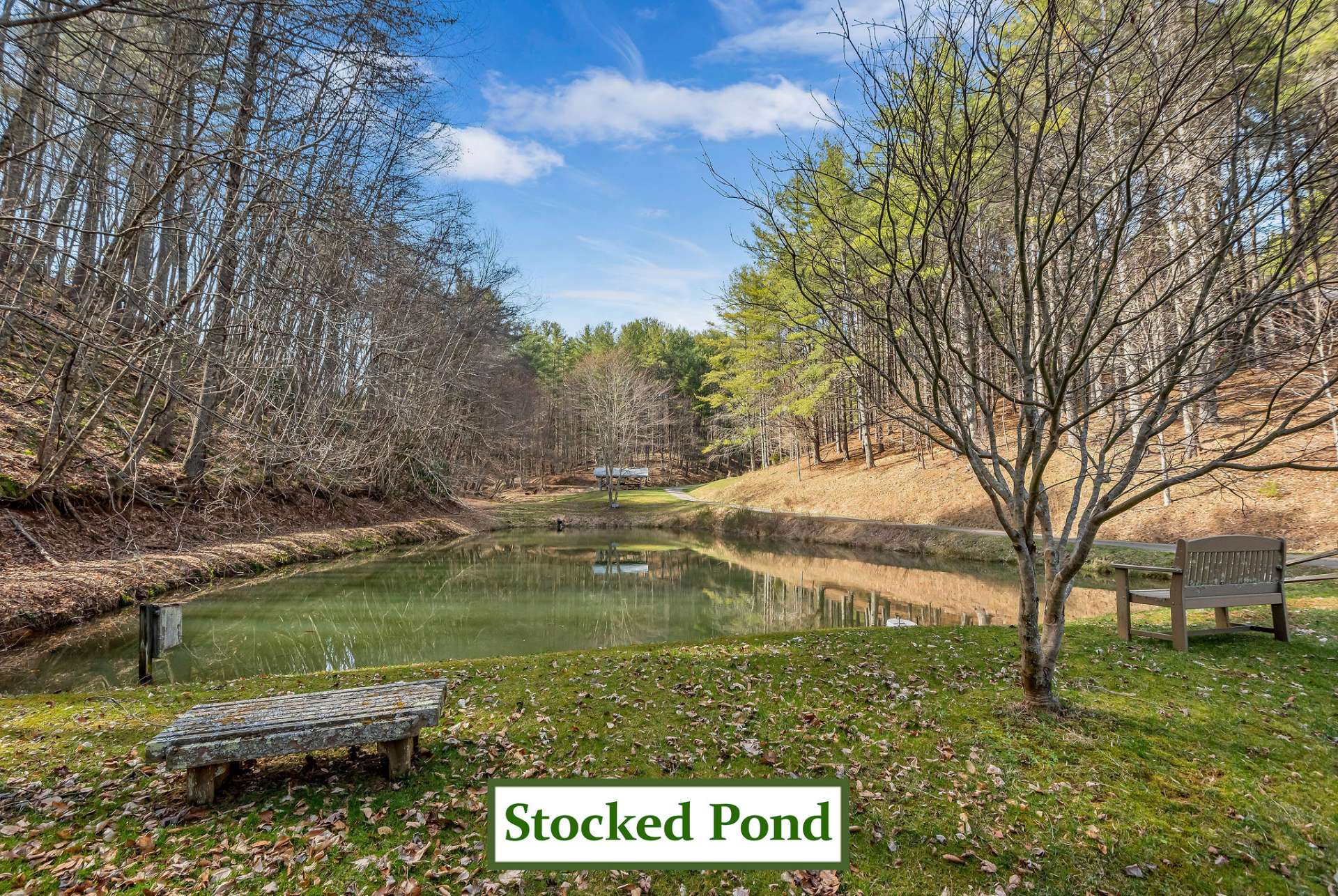 Stocking Fishing Pond