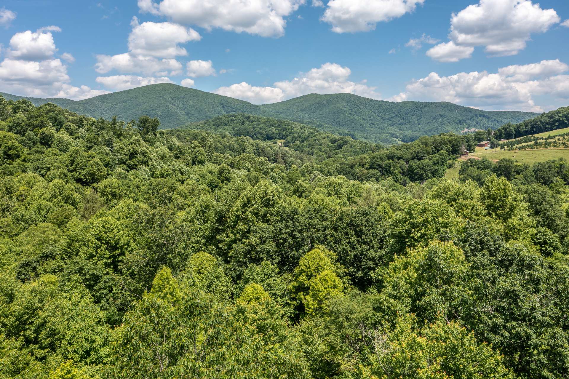 Dramatic views of Bluff, Three Top and Paddy Mountains, all protected with no other homes in sight from the home/deck of this mountain sanctuary.