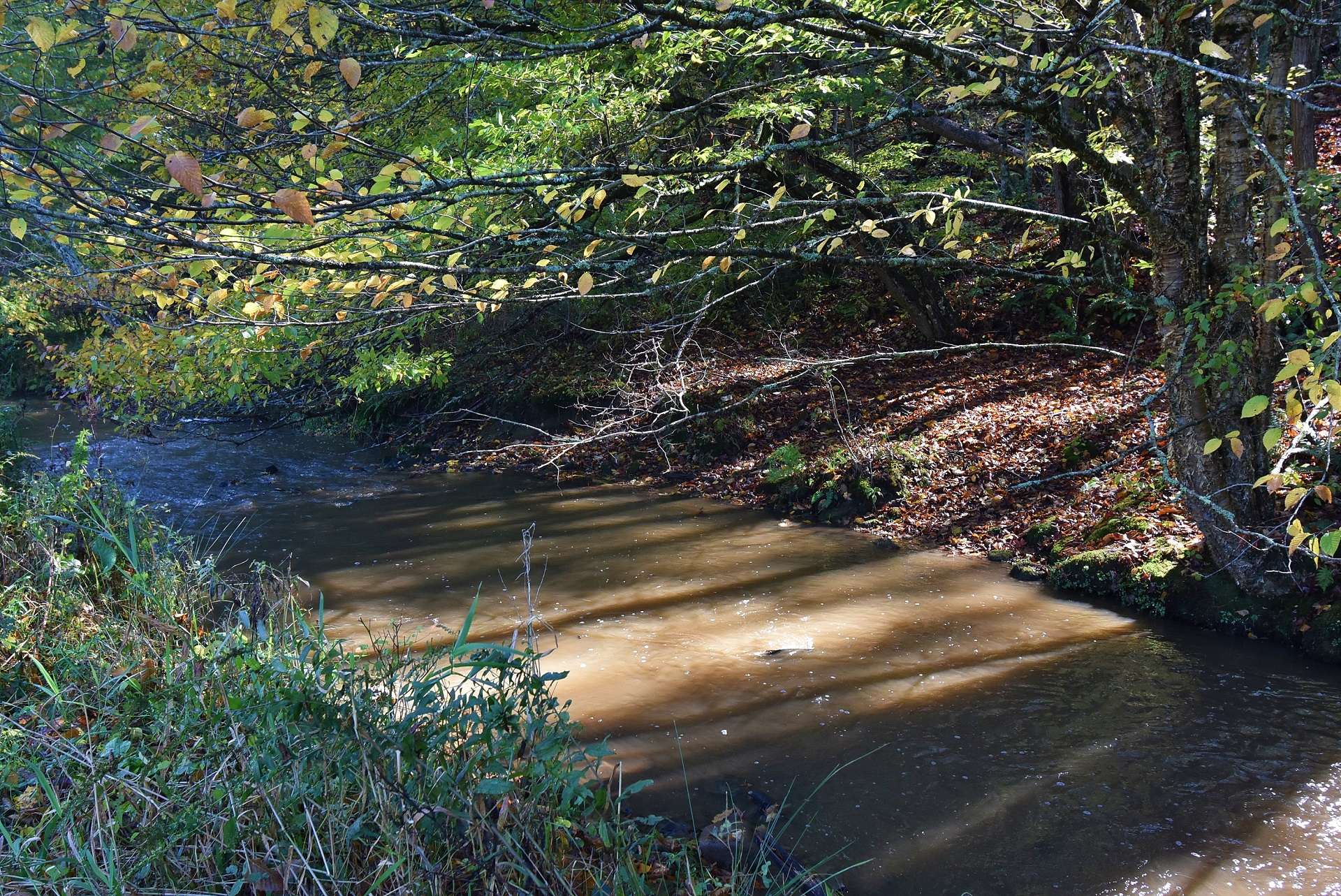 The South Fork of Horse Creek, a well known trout stream, meanders through the bottom land and provides a water source for livestock and irrigation for crops.