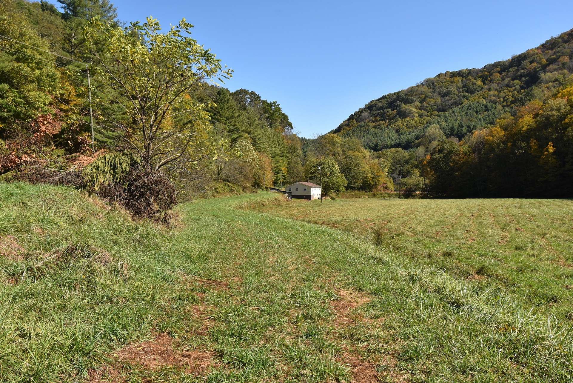 Long lush meadows are perfect for cattle, horses, or other livestock, hay, crops, or even a vineyard.