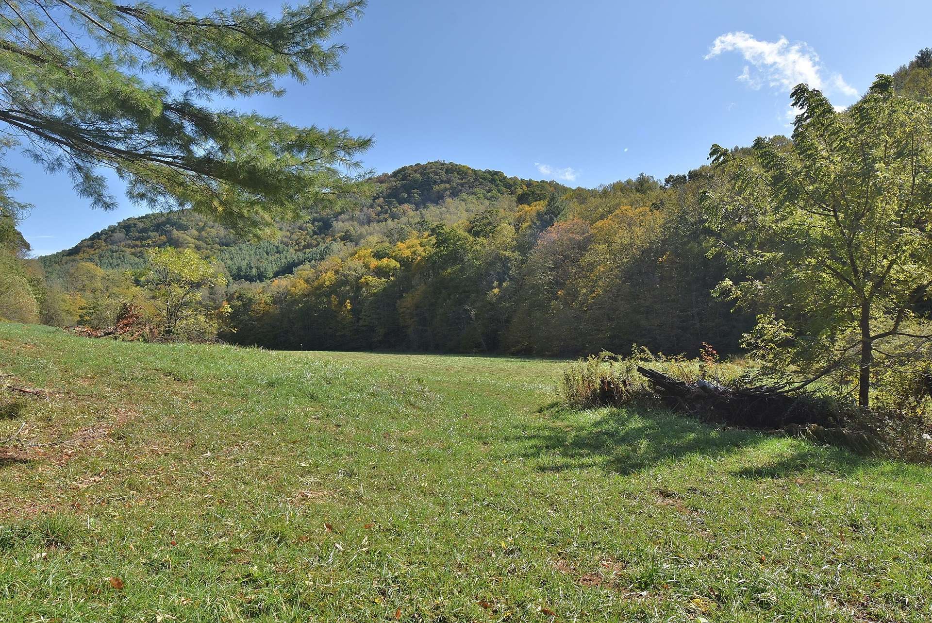 In addition to long level meadows, this 70 acre farm offers gorgeous woodlands with a diverse mixture of hardwoods, evergreens, and native mountain foliage providing timber potential, abundant wildlife, and multiple additional building sites.