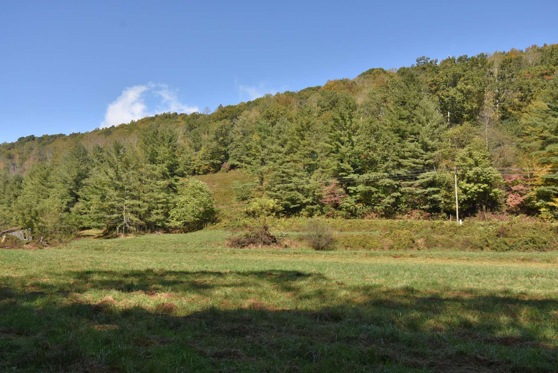 The land offers long road frontage and lays on both sides of Joe Hampton road creating the potential to divide the land. Offered at $369,900, this NC Mountain farm complete with farmhouse, barns, outbuildings, long creek frontage, lush meadows, woodland forest, building sites, abundant wildlife, and road frontage is located in the Lansing area of Ashe County and the ideal option for farming or simply a mountain retreat or primary residence. Call for additional information on listing E151.