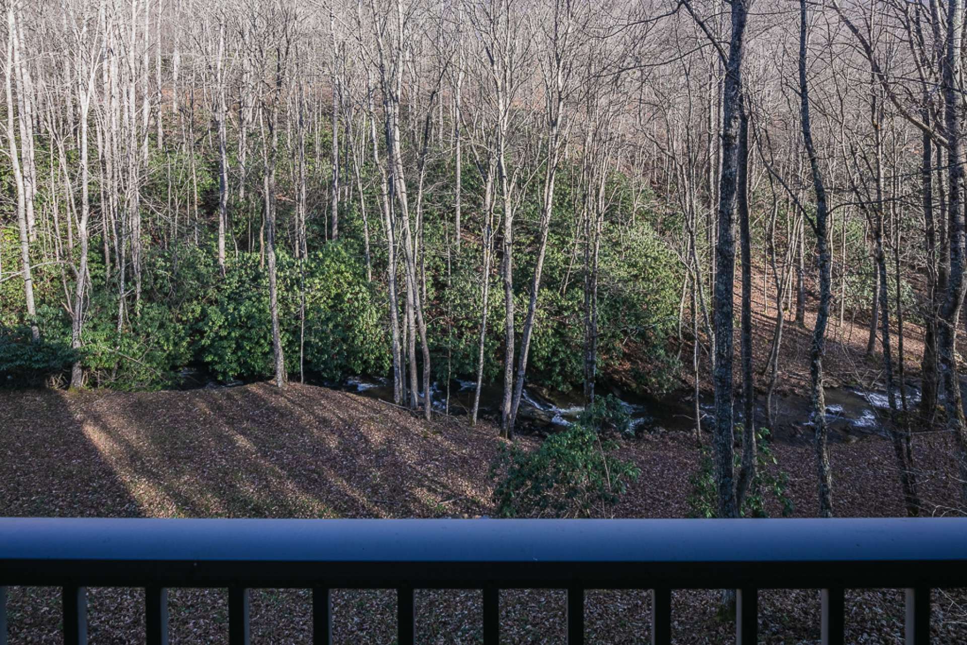 Relax on the back porch with Nature surrounding you and the sounds of the rushing creek below.