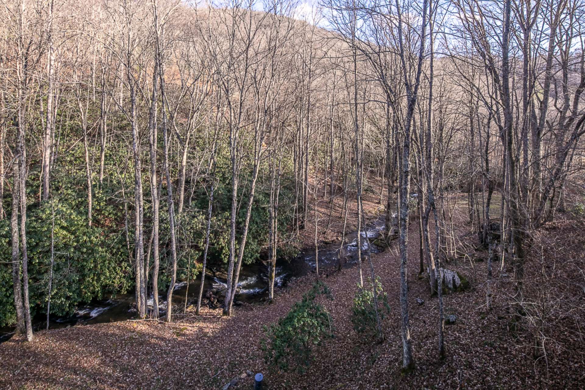 The 2.45 acre setting offers lots of exploration  and hiking opportunities.  The creek along with a diverse mixture of hardwoods, evergreens and native mountain foliage provides a great habitat for abundant wildlife.
