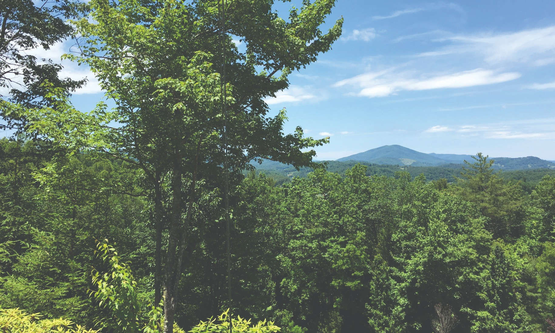  NC Mountain Estate sized home site in Davis Acres, a well established community in West Jefferson area of the North Carolina high country.