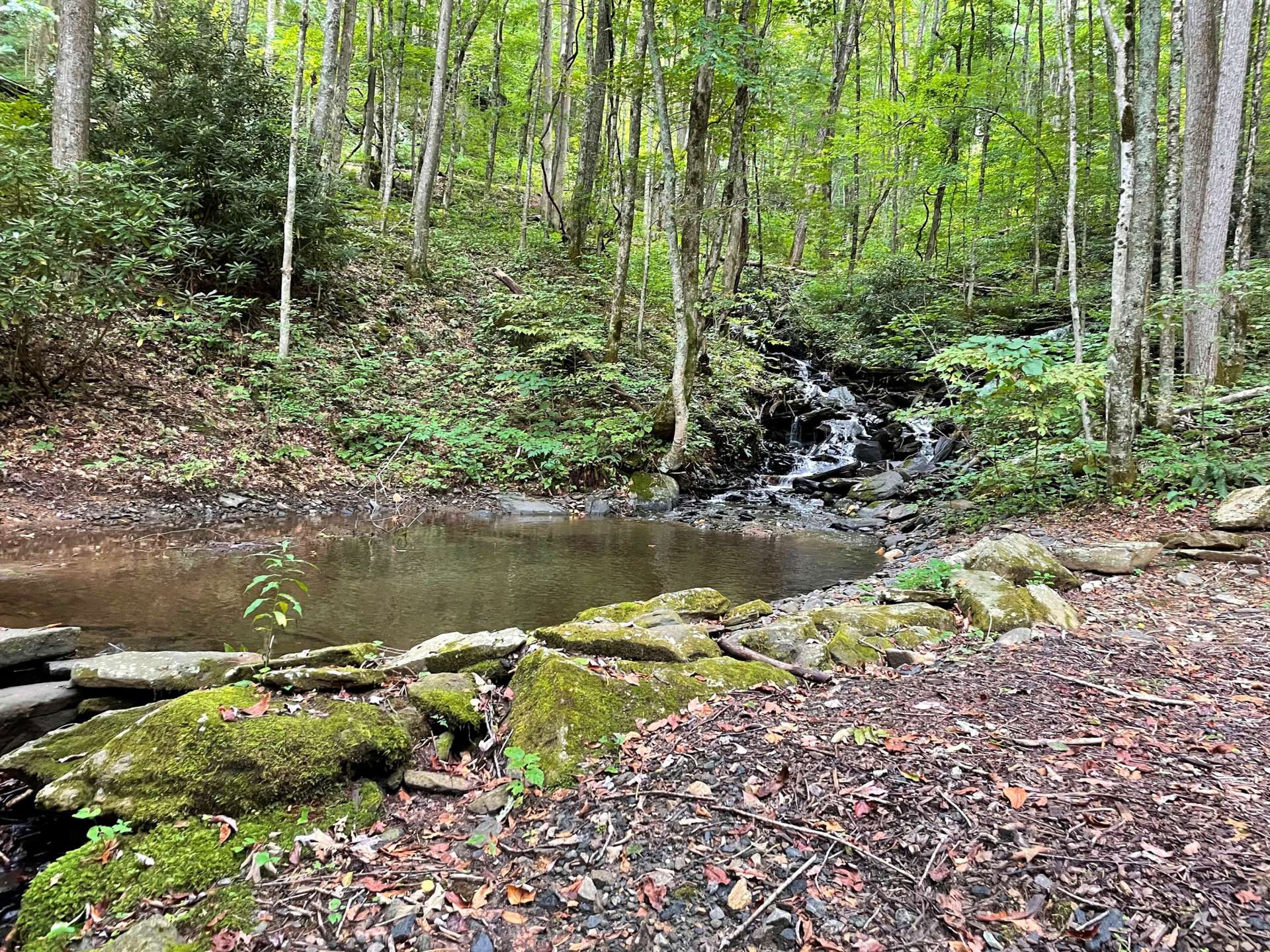 Enjoy a park like setting with waterfalls tumbling into small pools.