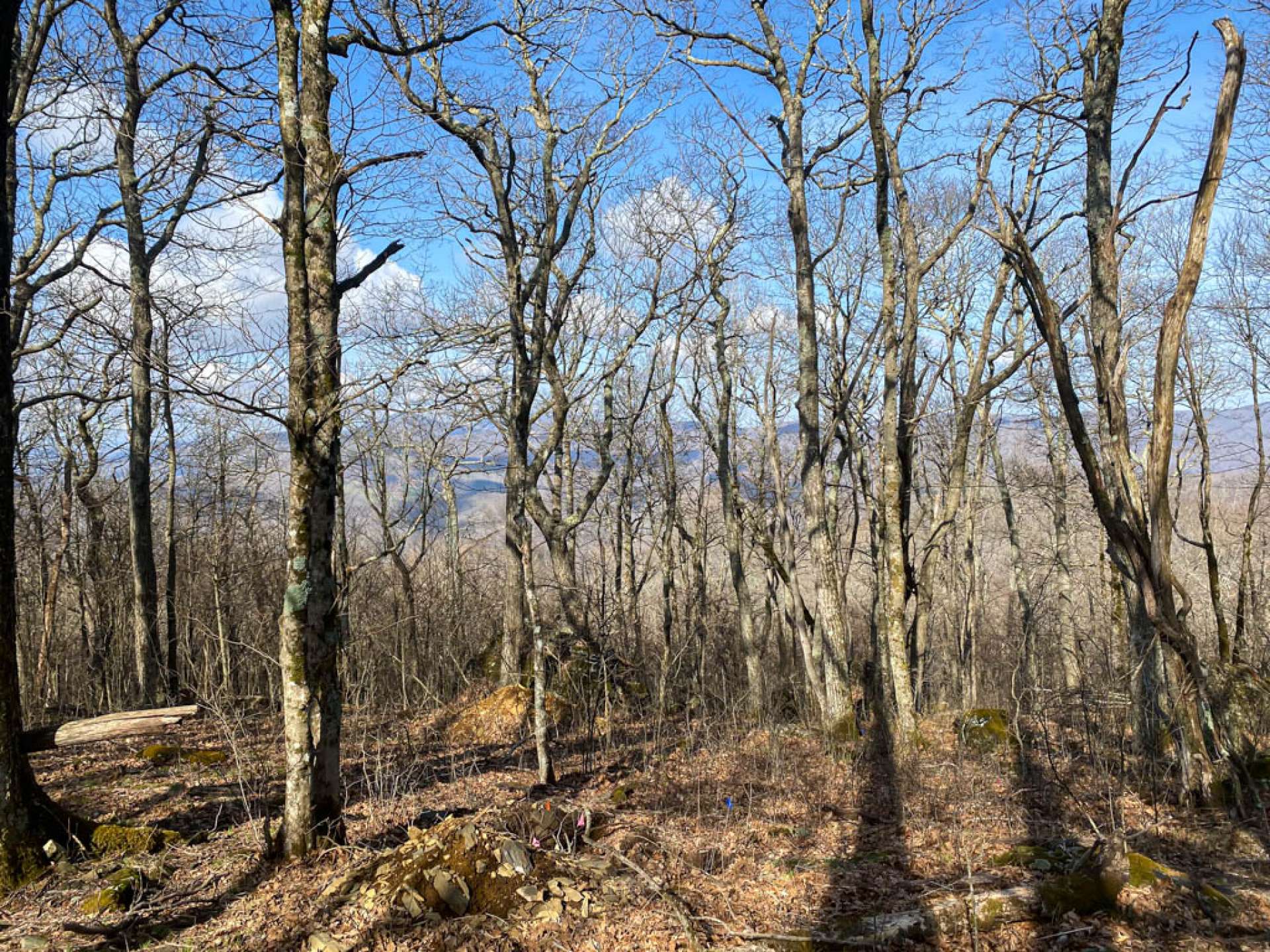 Imagine relaxing on your back deck or in your hammock and enjoying the mountain air.