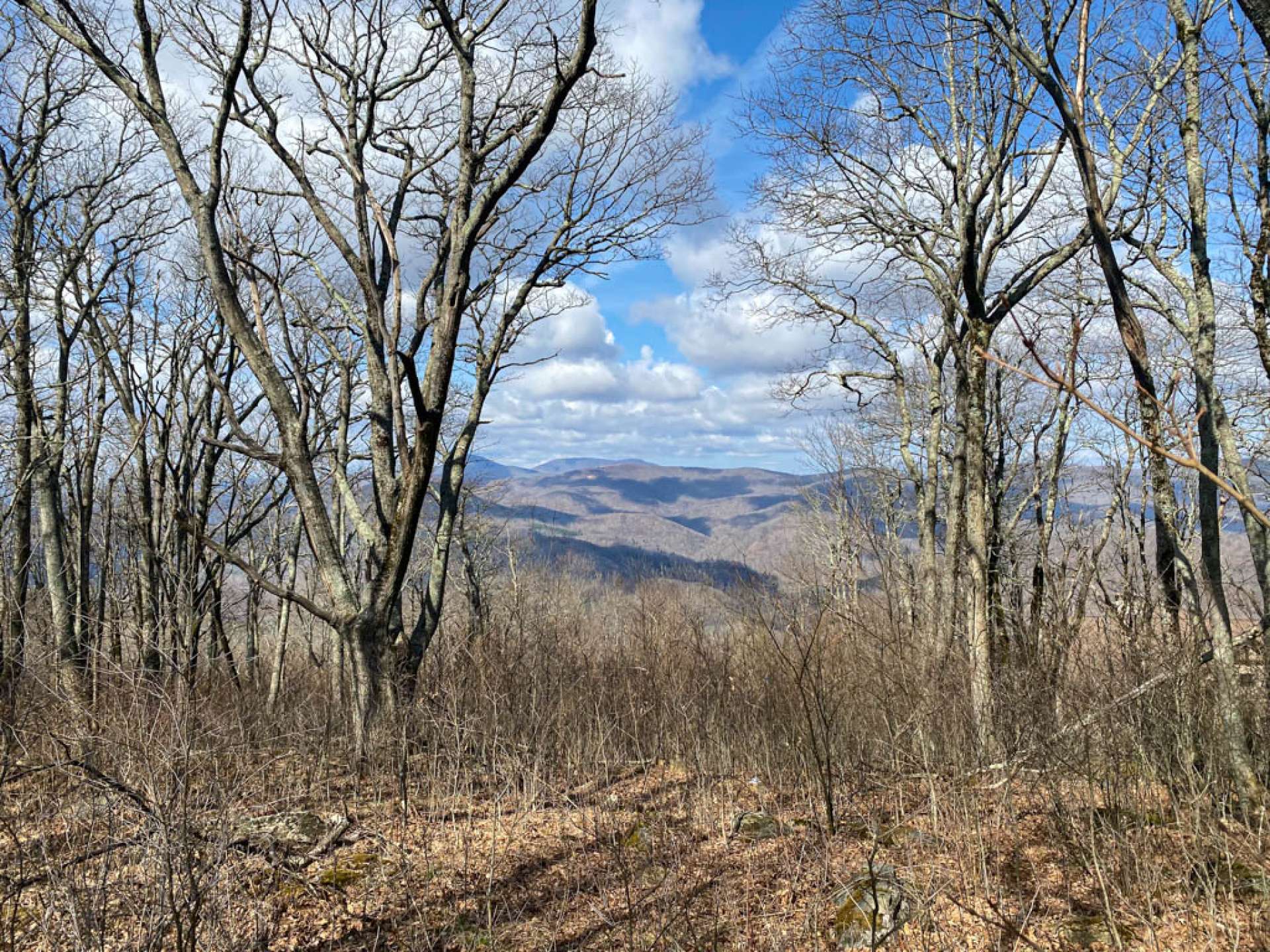 A photo of the views from the lot next door.