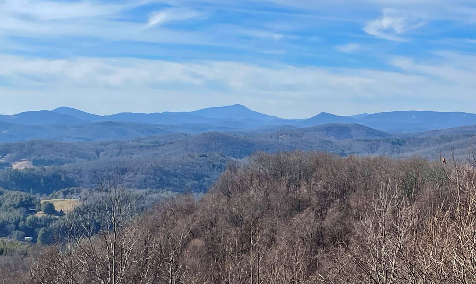 Long-range views to Grandfather Mountain and beyond.