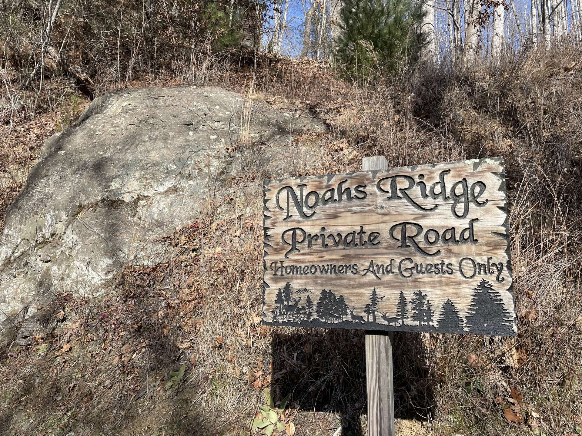 Welcome to Noah's Ridge!