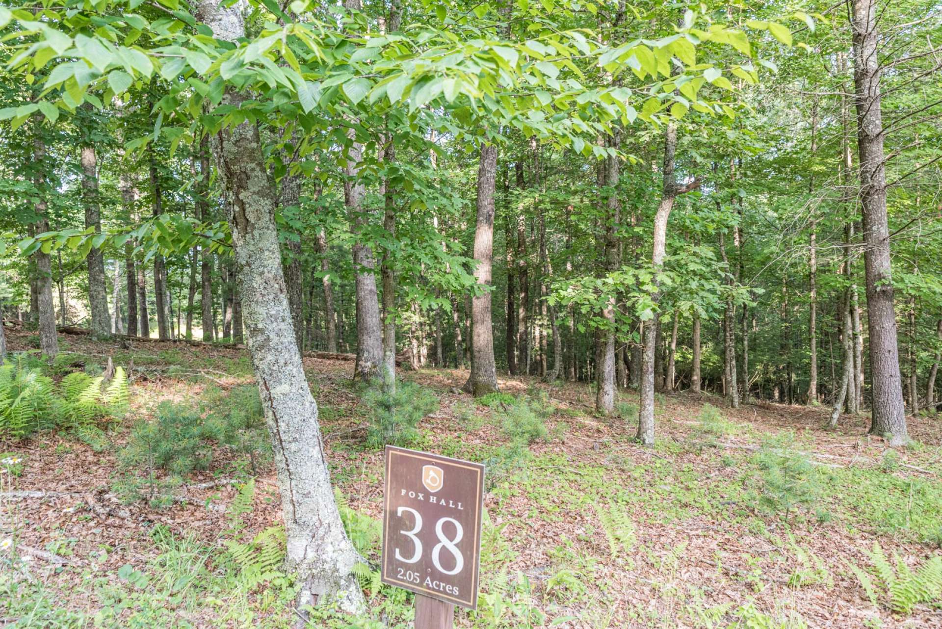 Lot 38 is a 2.05 acre beautifully wooded building site in Fox Hall.