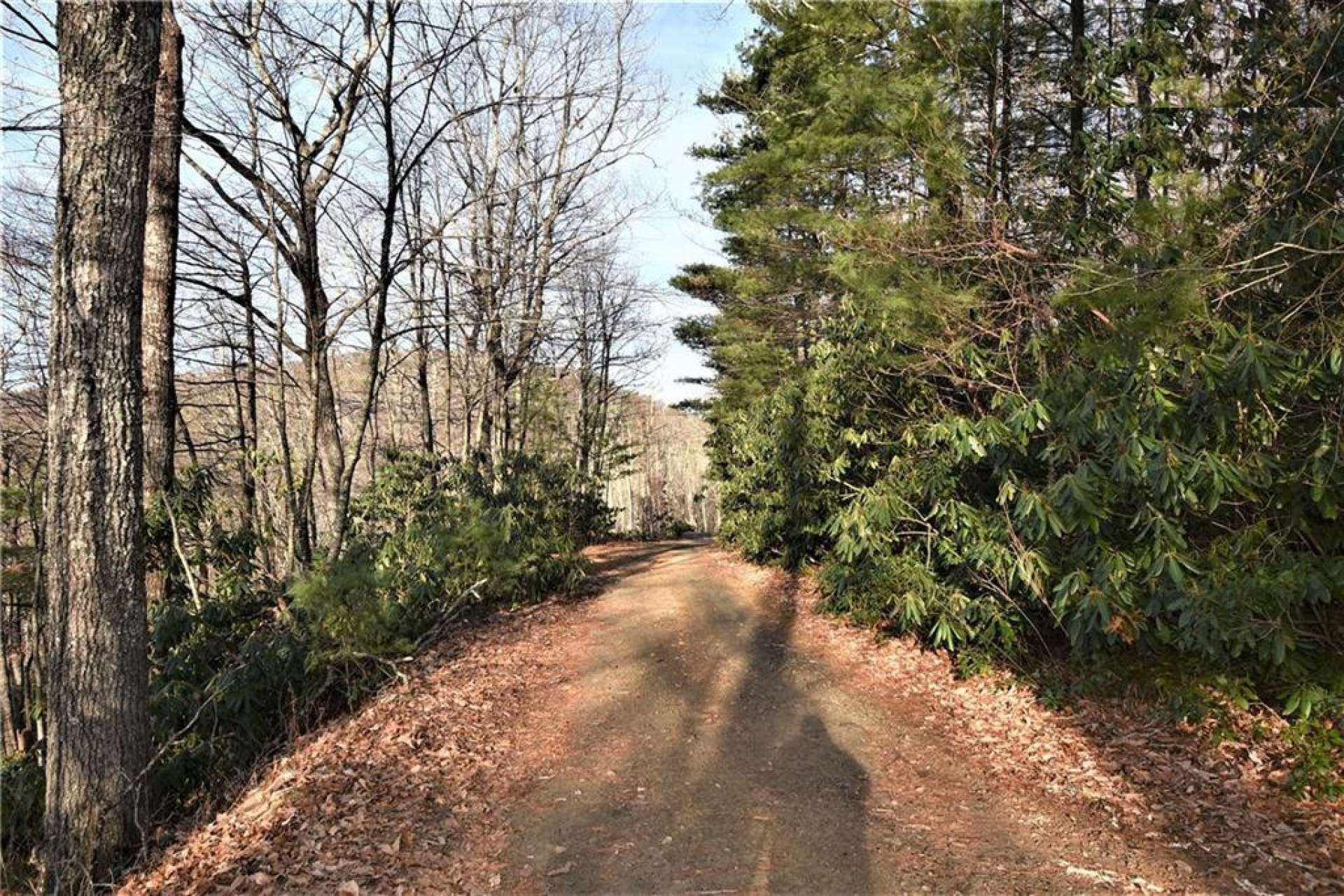 Lost trail borders this home site at the top and then loops around to border the lower portion of the lot.