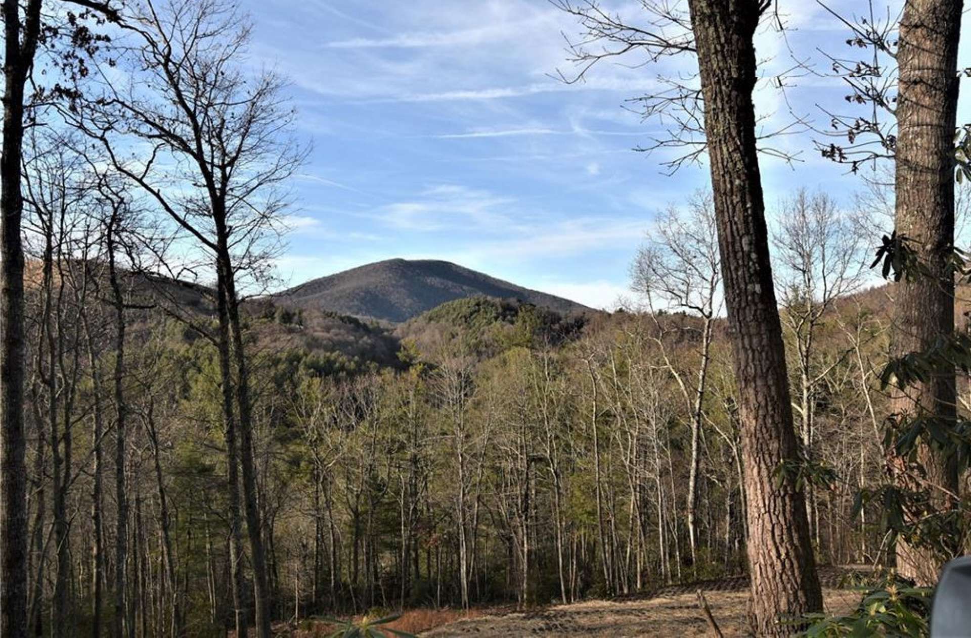 Views of Mount Jefferson can be obtained with select tree trimming.