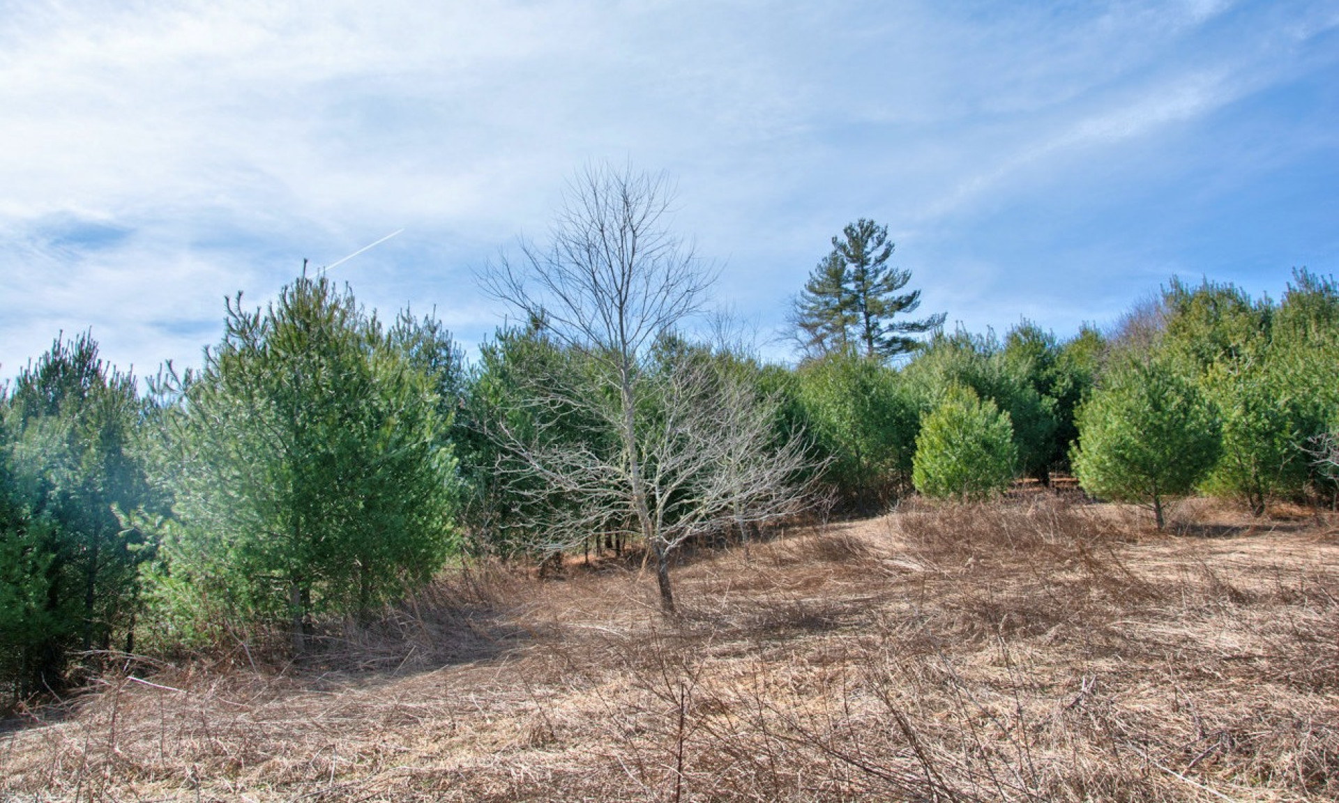 NC Mountain Home Site Todd