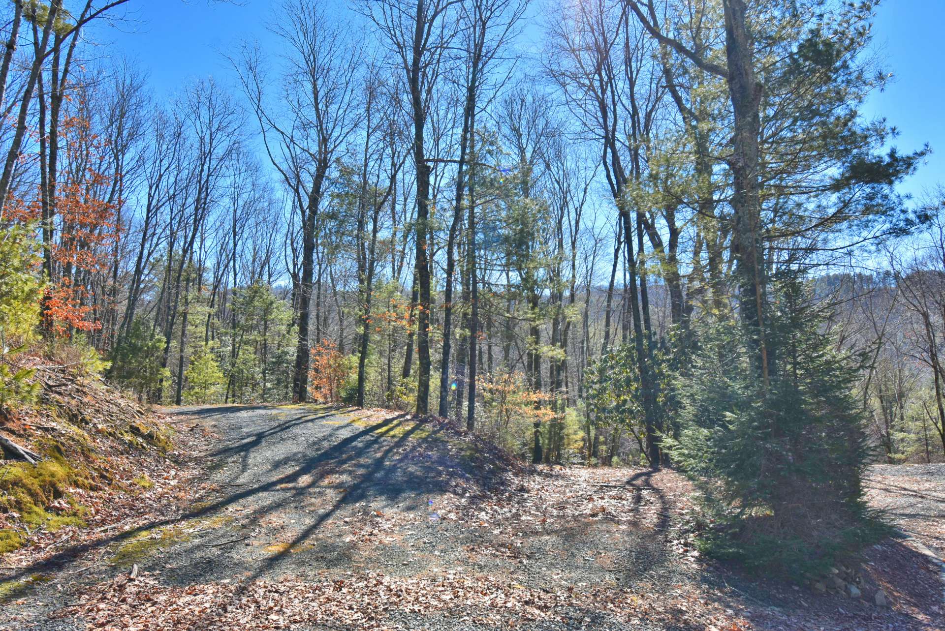 This 3.49 acre tract is a combination of 3 lots, 32, 33, and 34, offering seclusion and mountain views.
