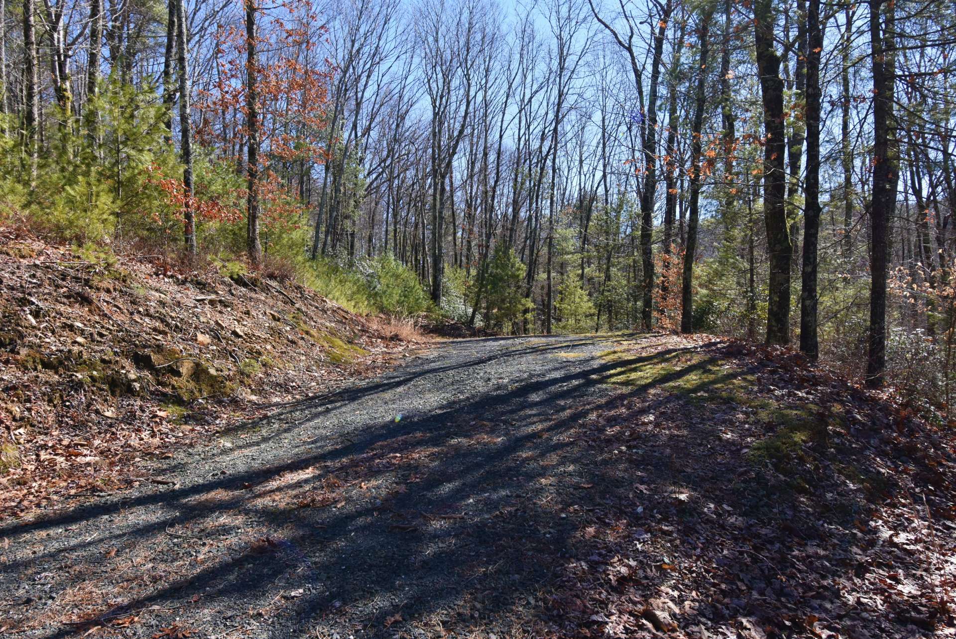 This tract has a driveway in place off of Spring Dipper Drive.