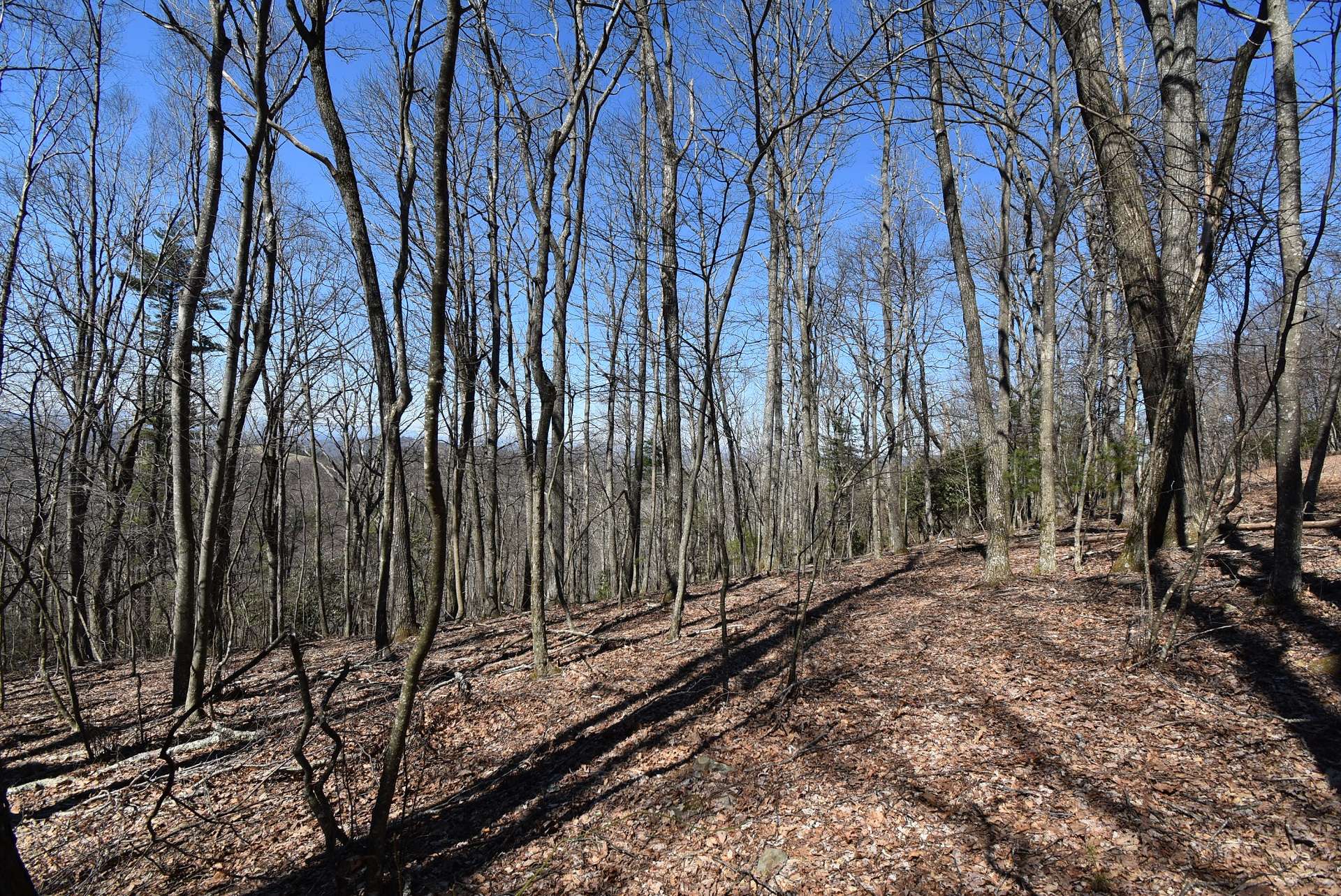 Offered at only $49,900, this beautifully wooded 4.81 acre building site is a great location for your dream NC Mountain cabin or home. The terrain varies from rolling to sloping and offers a diverse mixture of native hardwoods, evergreens, and mountain foliage. Call today for additional information on listing H288.