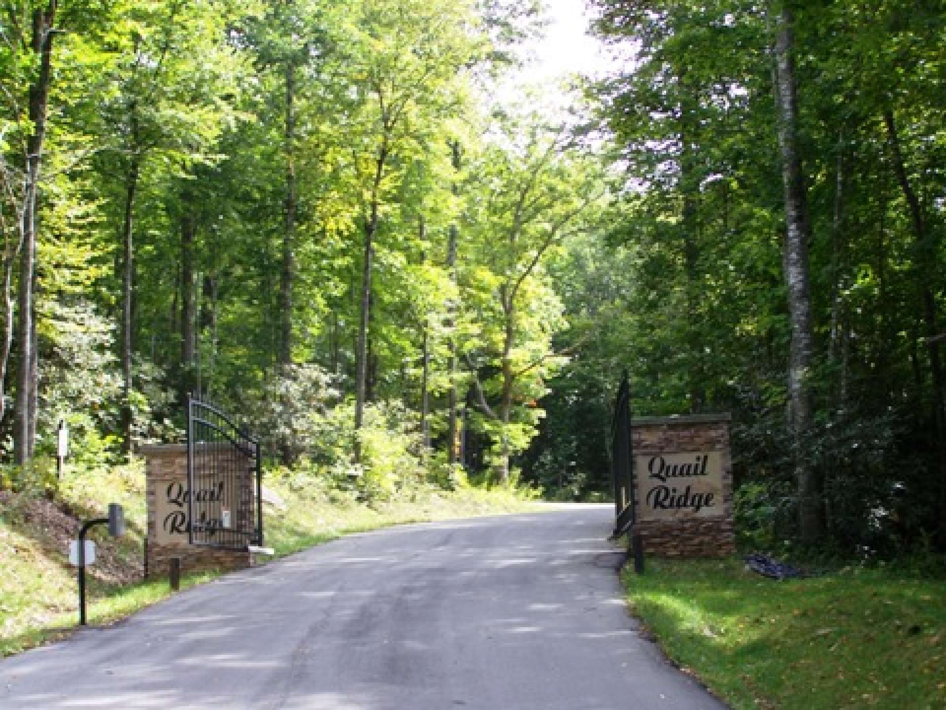 Quail Ridge is a rustic mountain community with gated entrance, paved streets, and underground utilities including fiber optic cable.