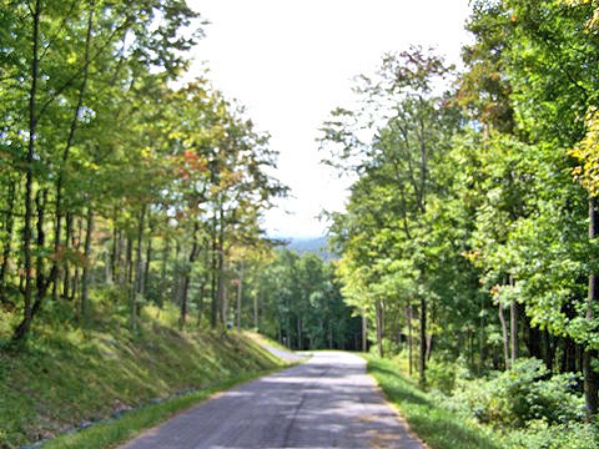 Beautifully wooded home sites with paved streets winding through tall trees and native mountain foliage offer seasonal views.