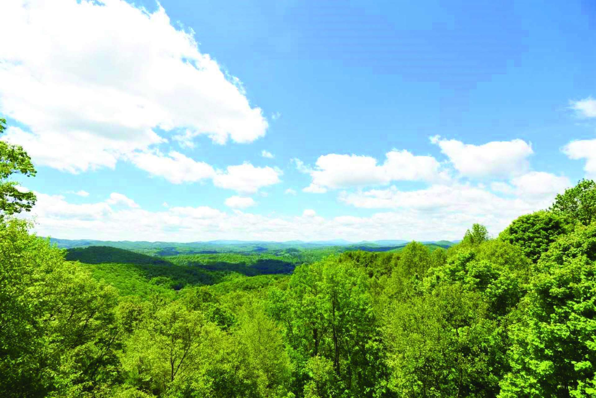 The views include layers of mountain vistas, including Grandfather Mountain.