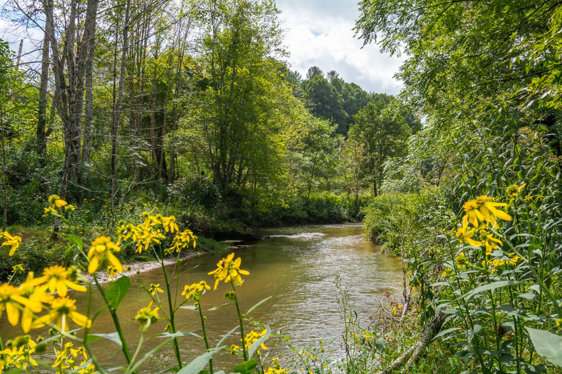 Stonegate is a gated Community with common access to the North Fork of the New River