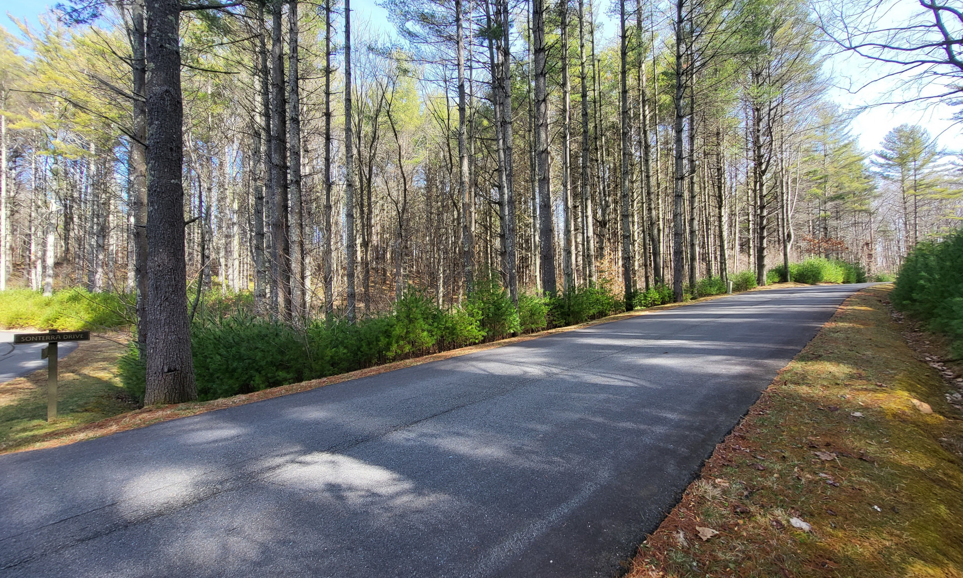 NC Mountain Homesite Acreage