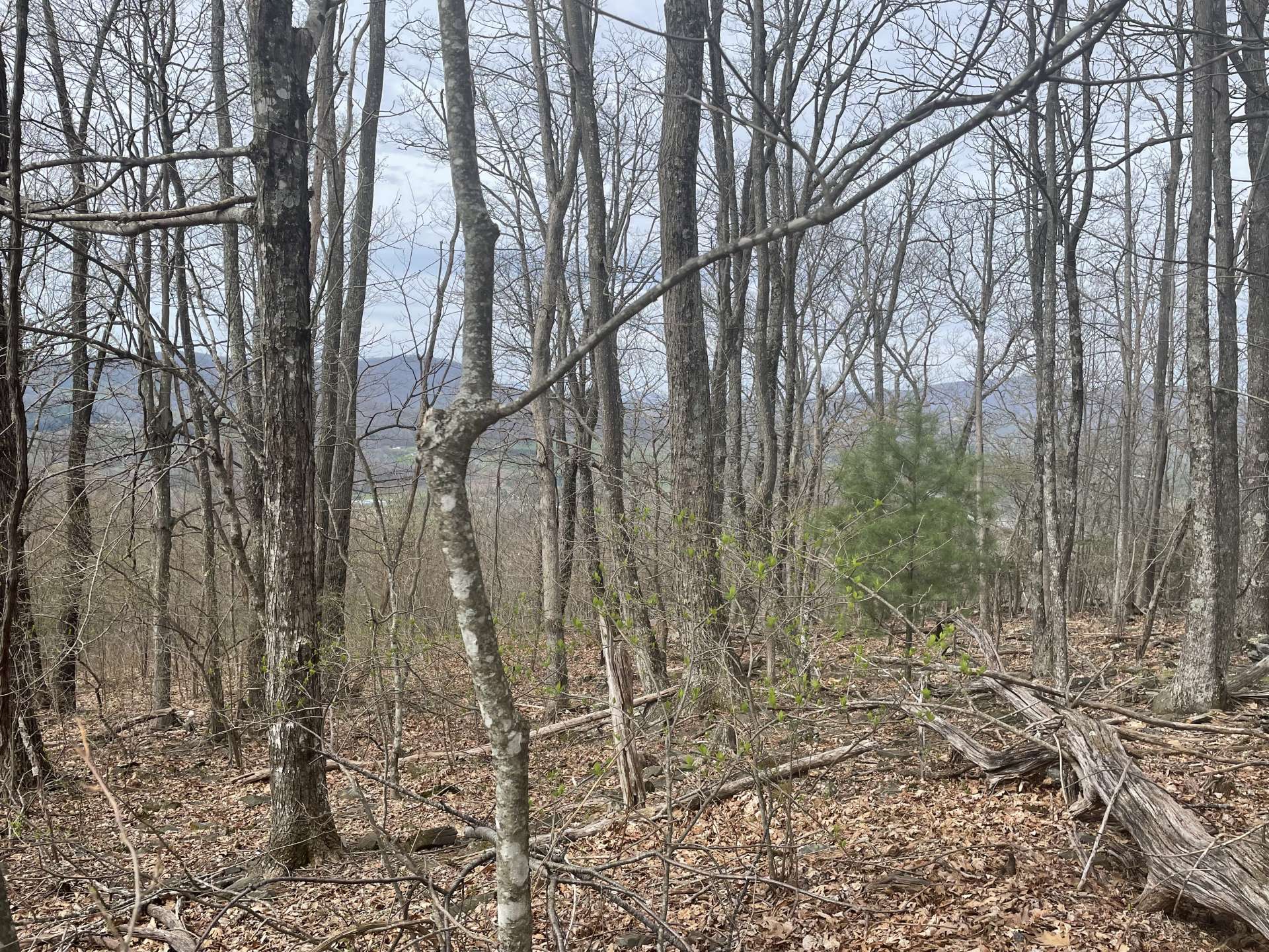 Imagine sitting on the porch or deck of your new Blue Ridge Mountain home or cabin and enjoying the views.