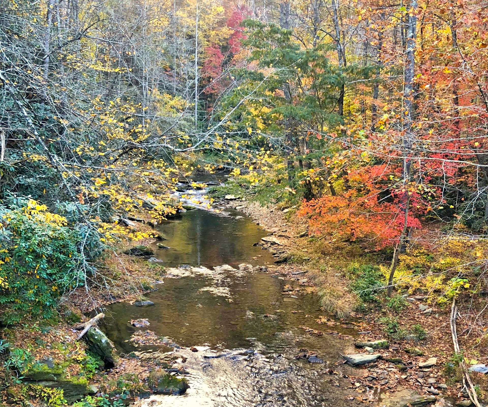 Sunset on Elk Creek